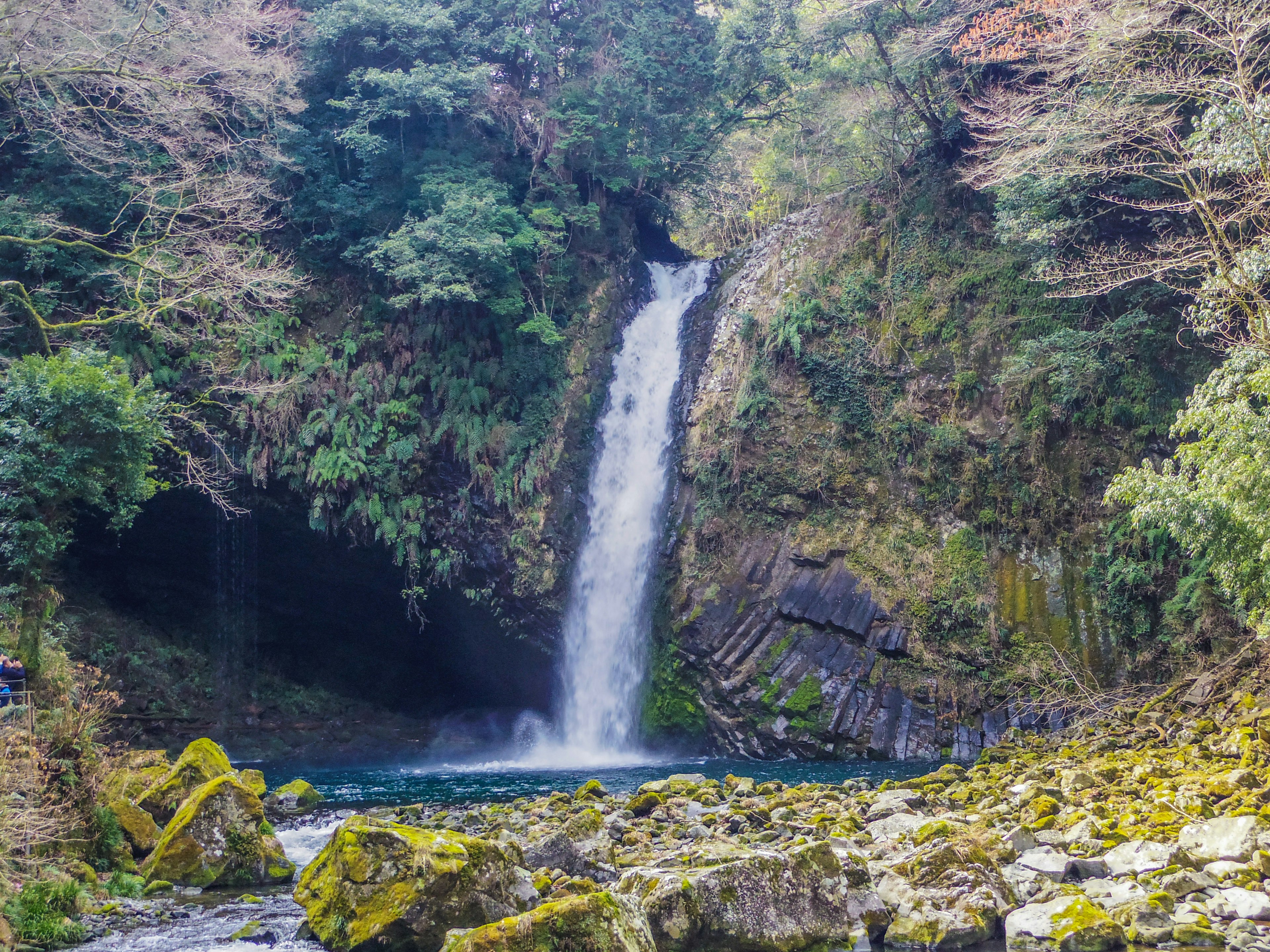 Scenic waterfall cascading into a serene pool surrounded by lush greenery