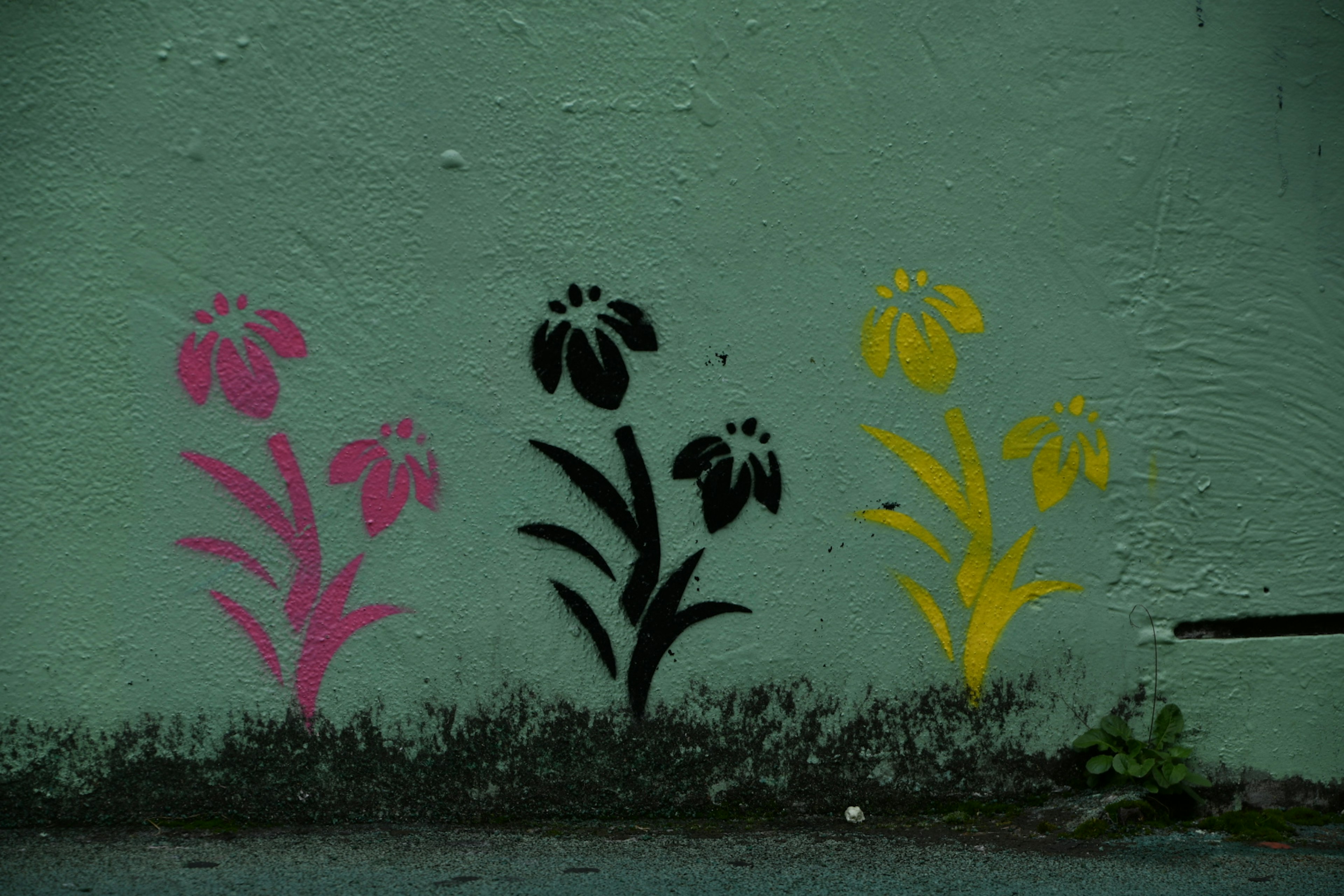 Bunte Blumen-Sprühkunst an einer Wand mit rosa und gelben Blumen und schwarzen Stielen