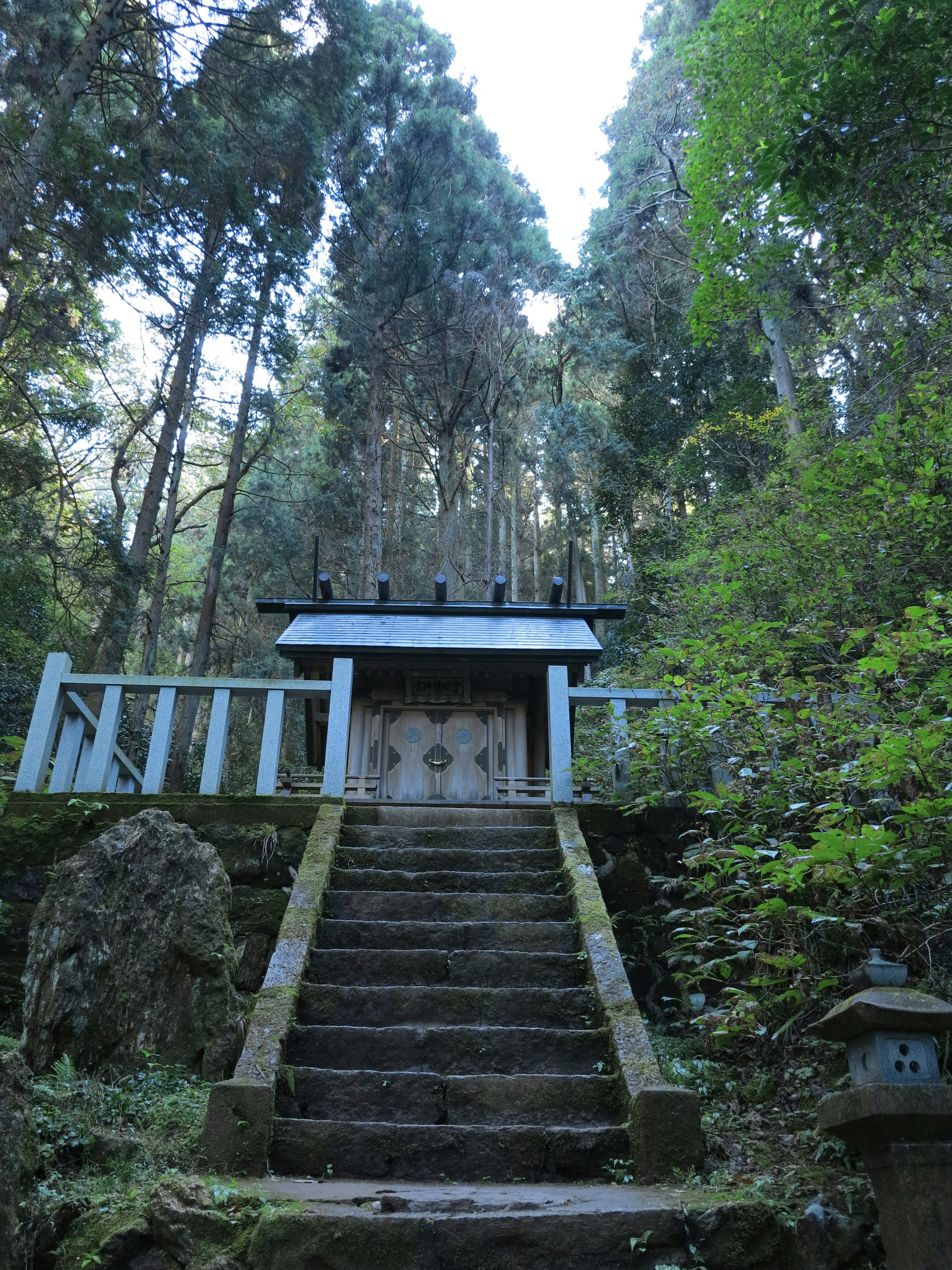 Scale di pietra che portano a un santuario circondato da alberi alti