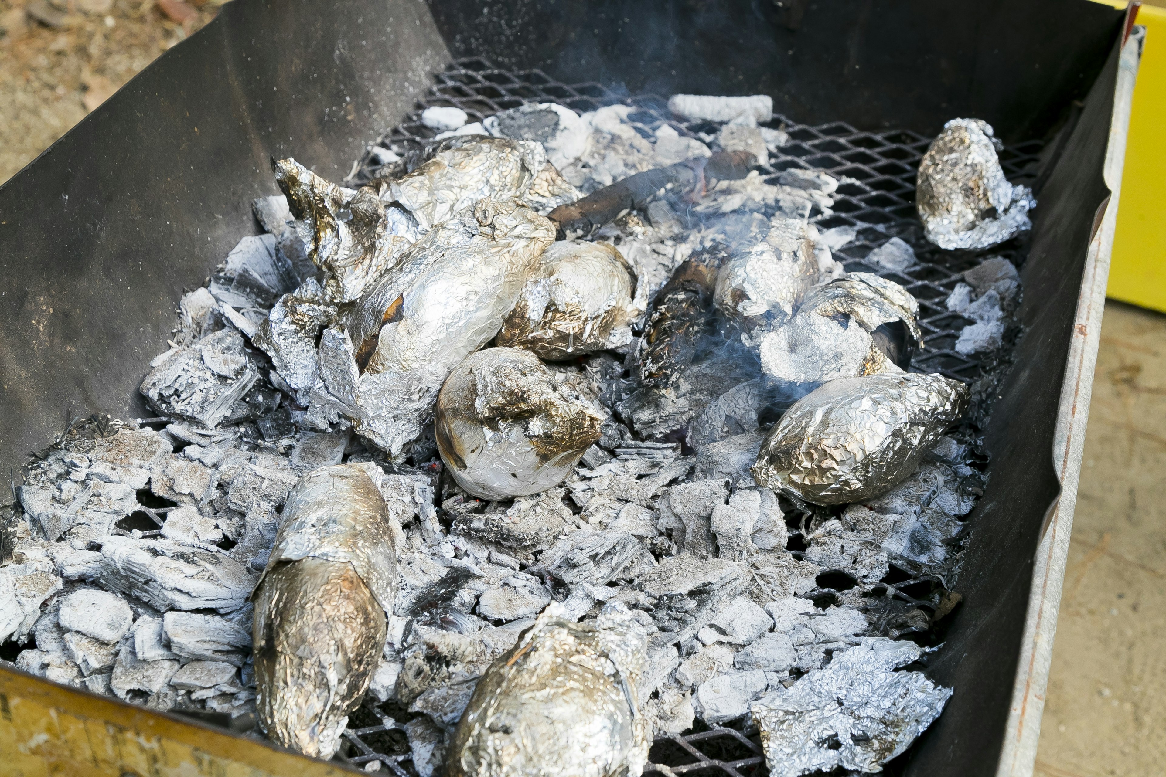 Grilled oysters on a charcoal grill with ashes