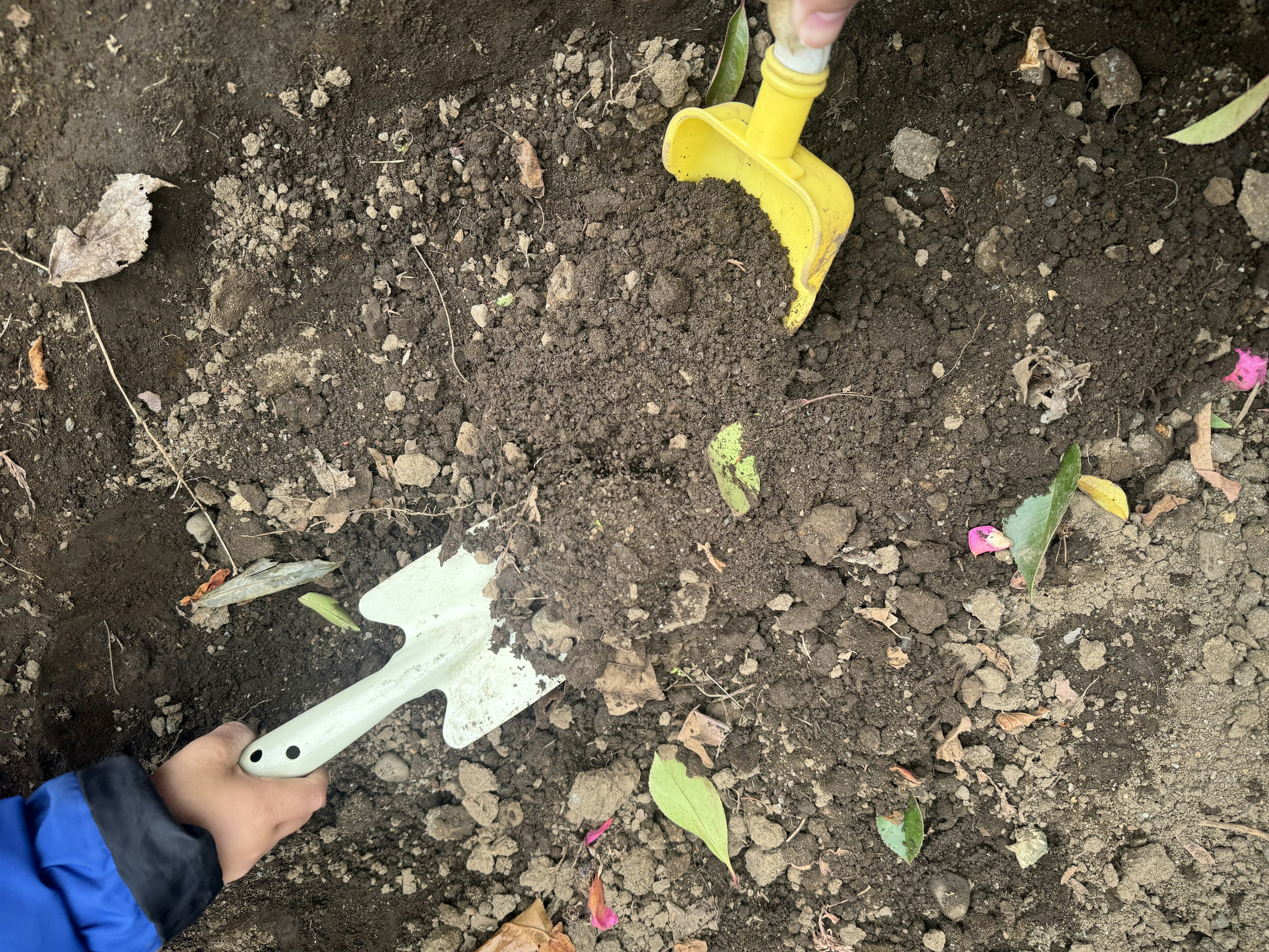 Manos de niños usando pequeñas palas para cavar en la tierra