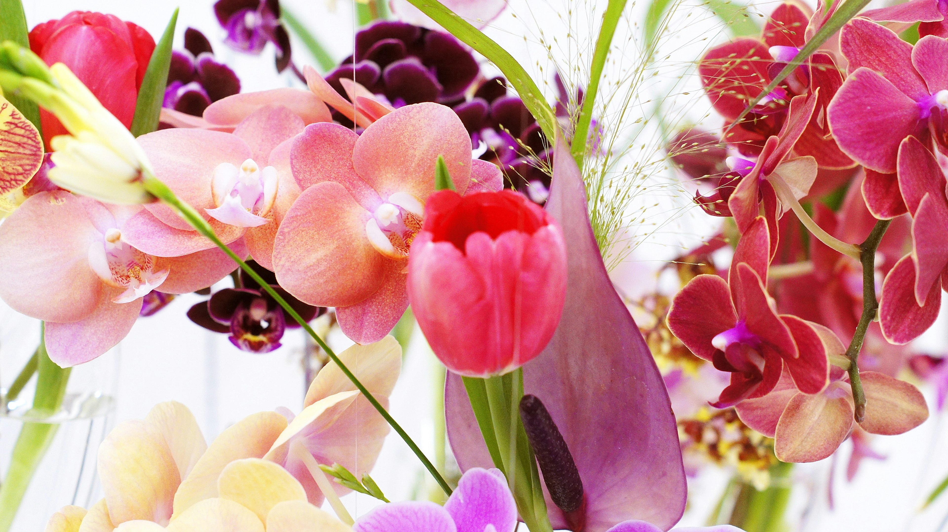 Un beau bouquet avec un mélange de fleurs colorées