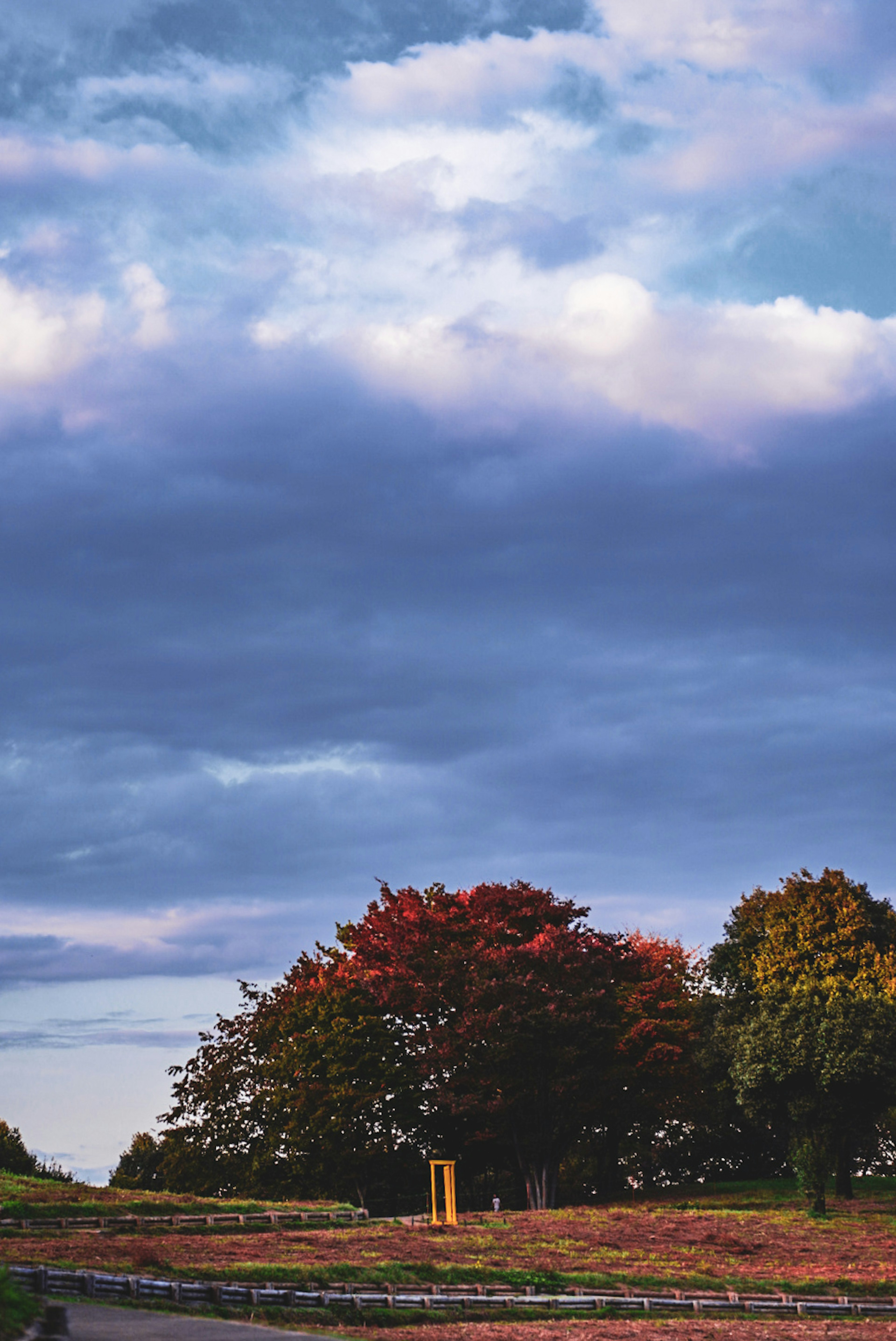 Landscape featuring autumn-colored trees and a blue sky