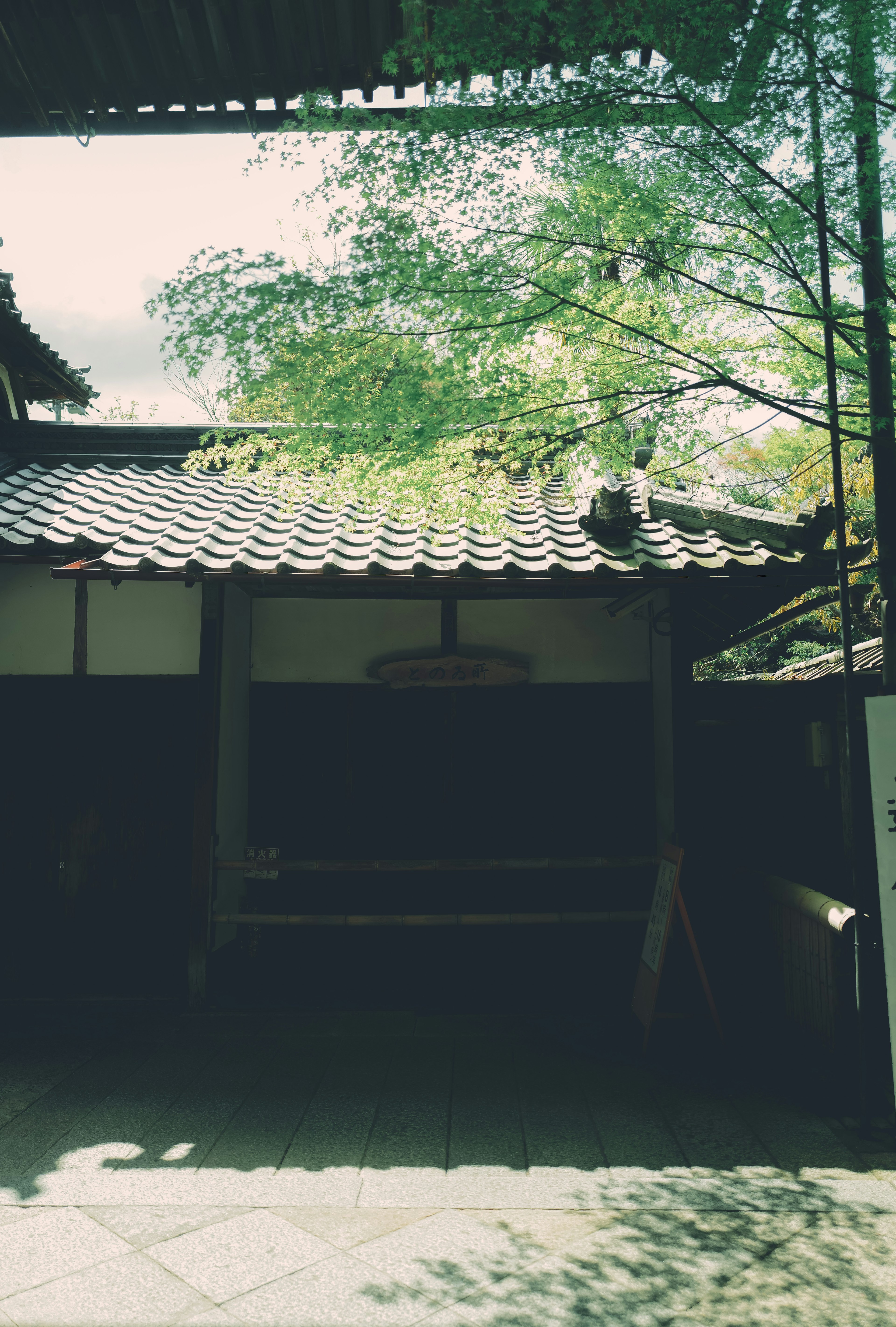 Traditional Japanese house back entrance with lush green trees