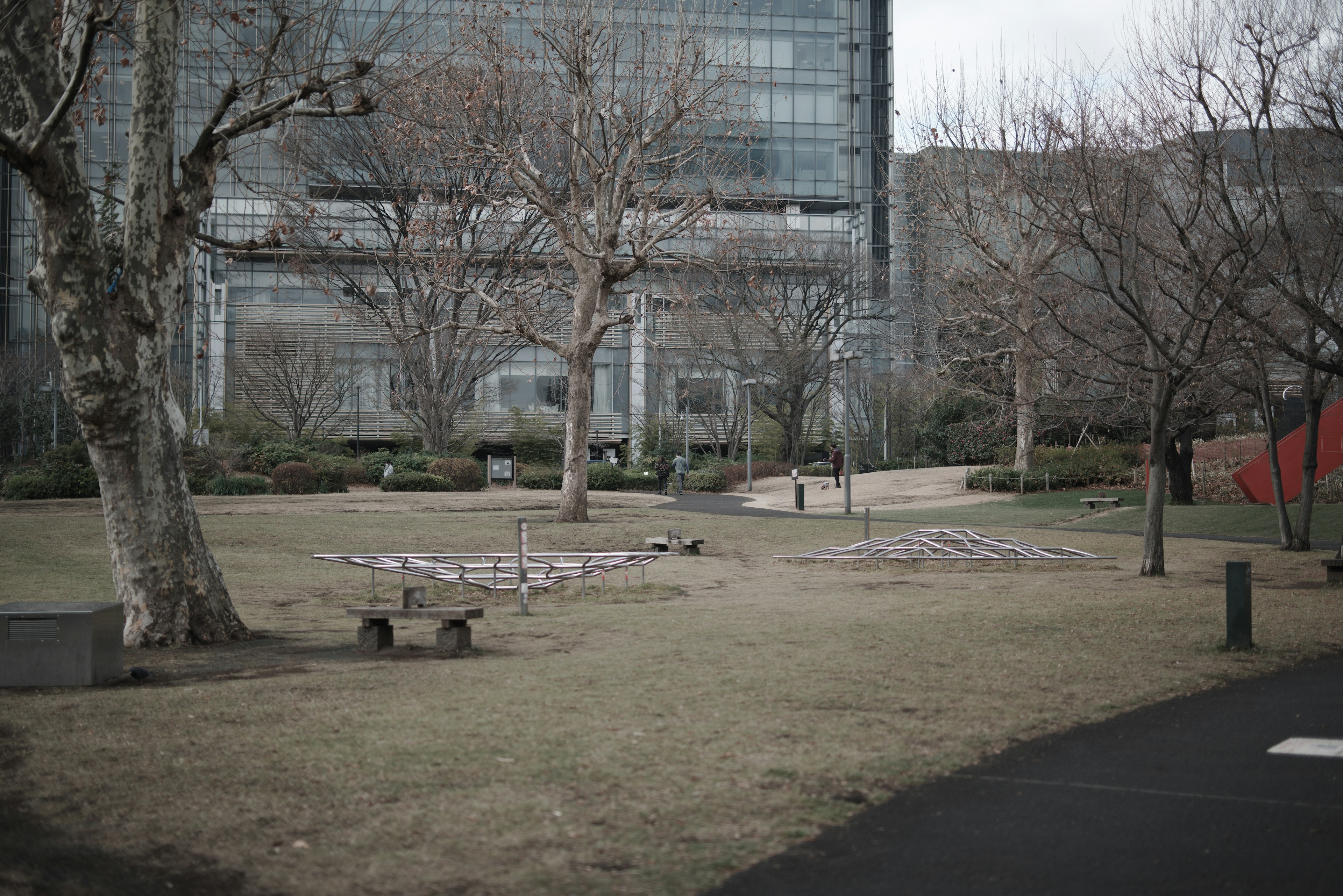 公園の風景、冬の木々、草地、近代的な建物、シンプルなベンチ、灰色の空