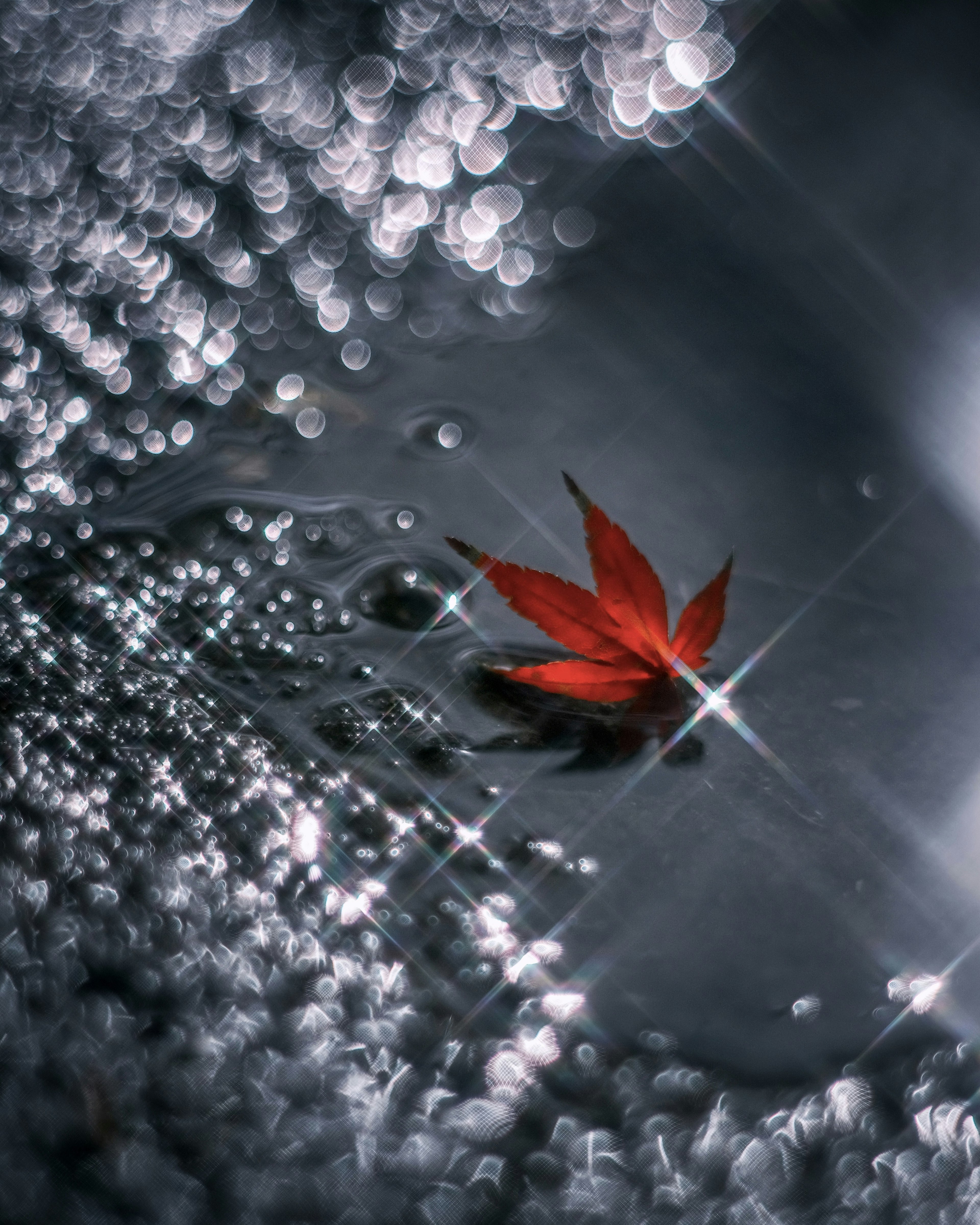 Feuille rouge flottant dans une flaque avec des reflets étincelants