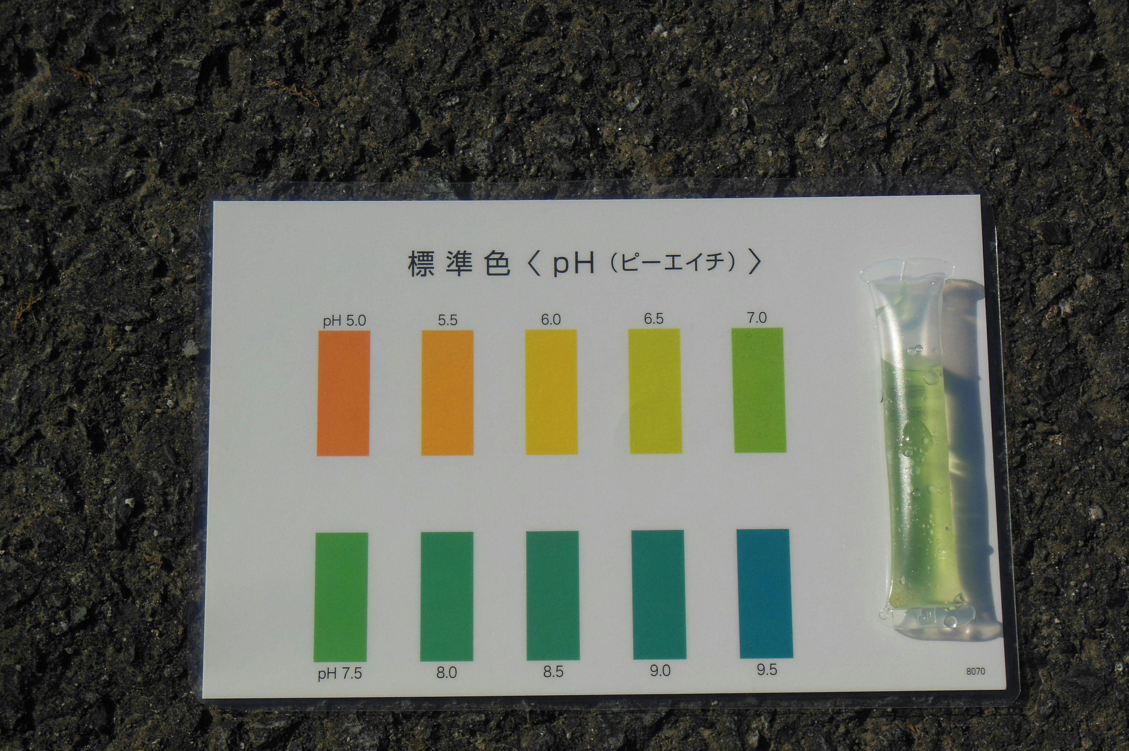 a pH test strip and color chart displayed on a black surface