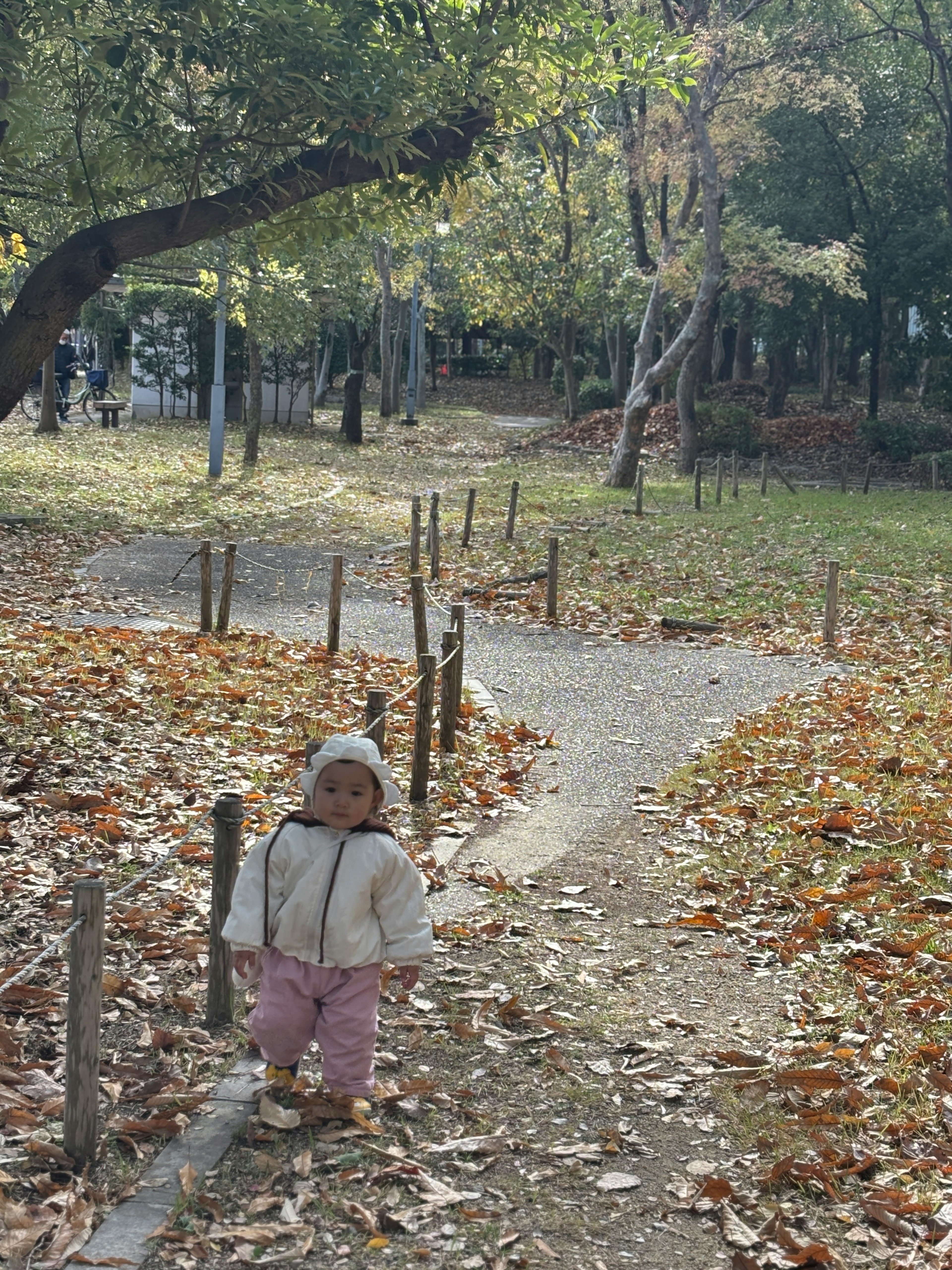 公園の小道を歩く子供 落ち葉の季節 自然豊かな風景