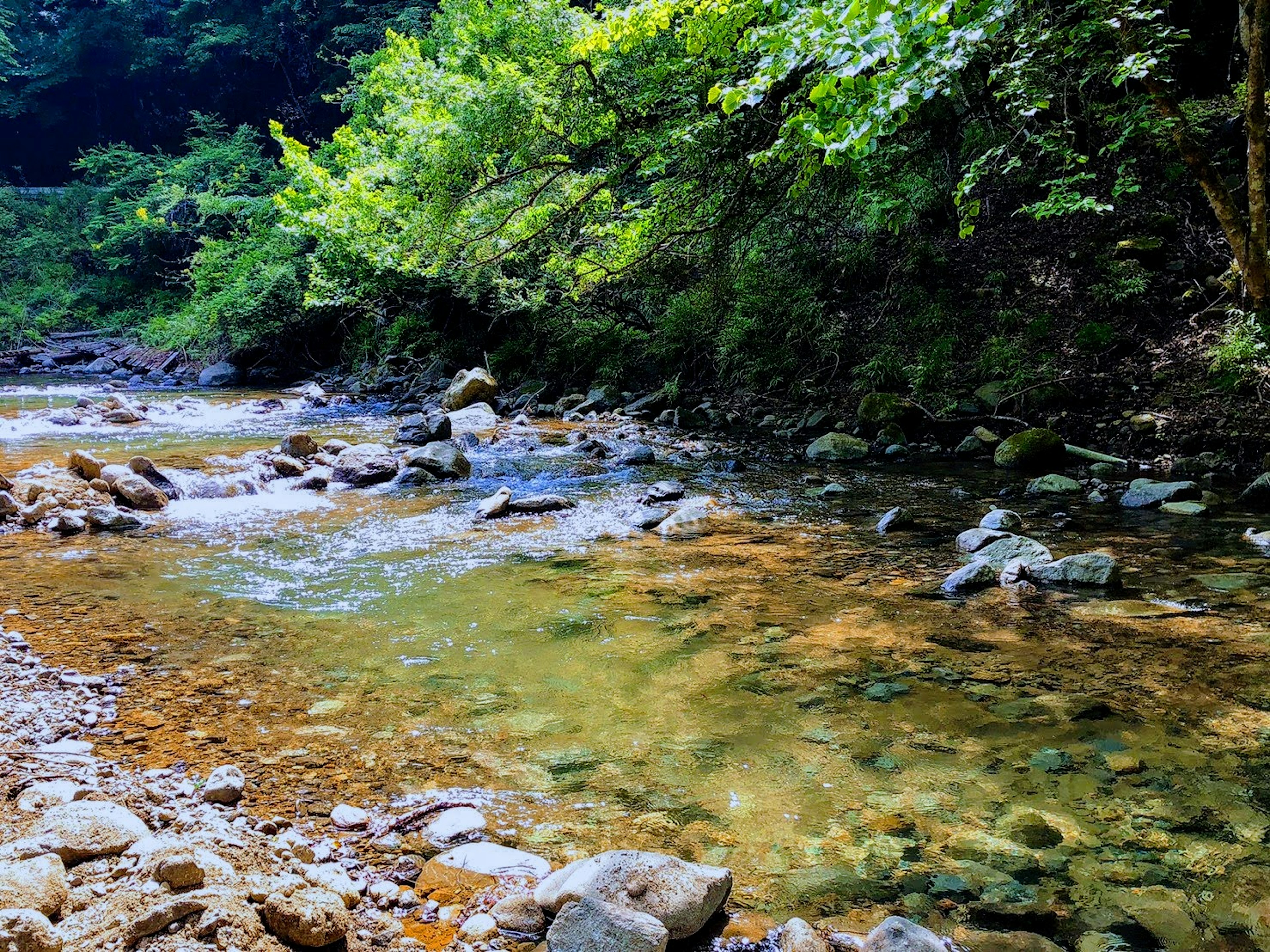 Sungai tenang dikelilingi pepohonan hijau subur dan kerikil