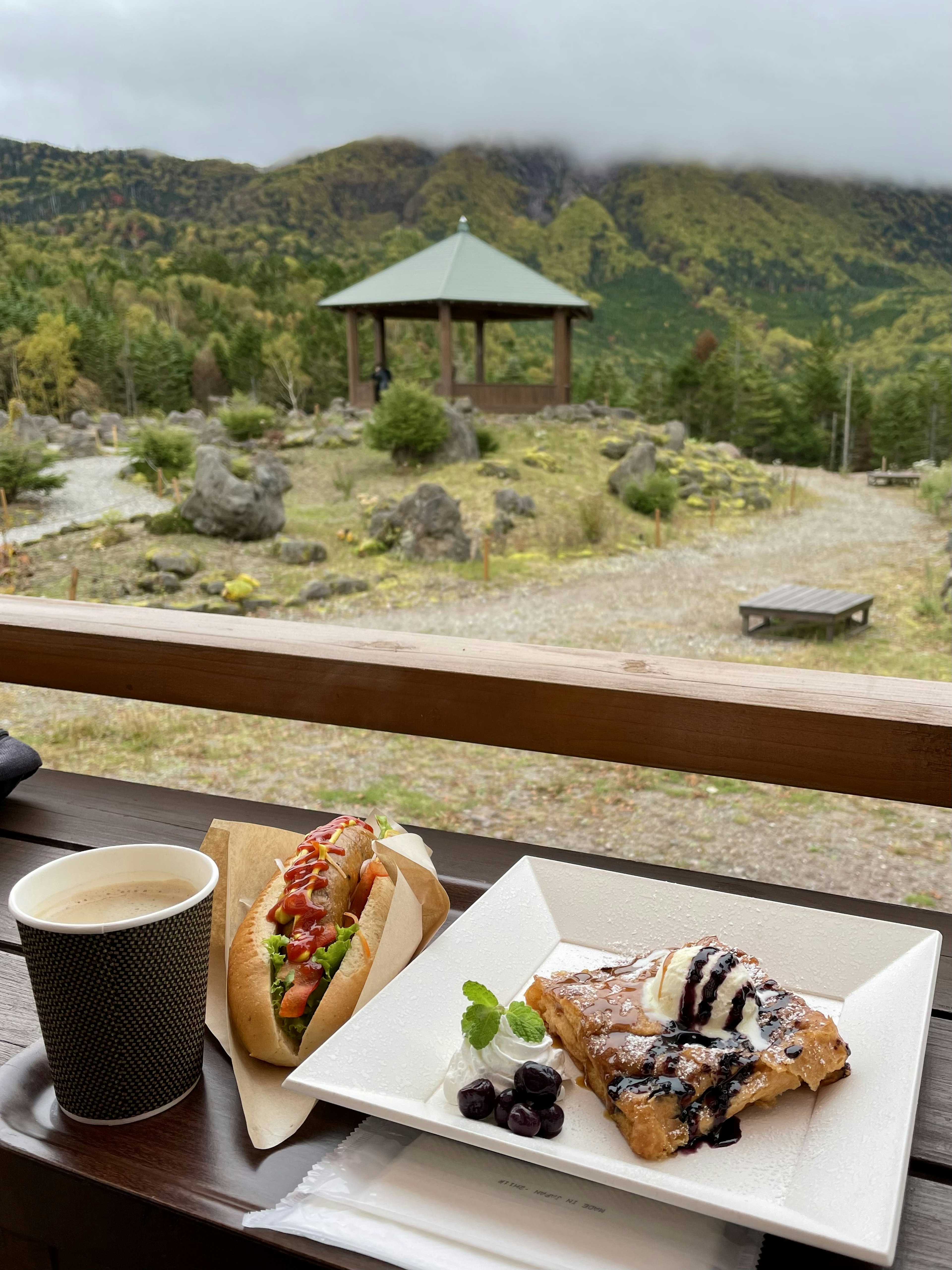 美しい風景を背景にしたホットドッグとデザートのプレート