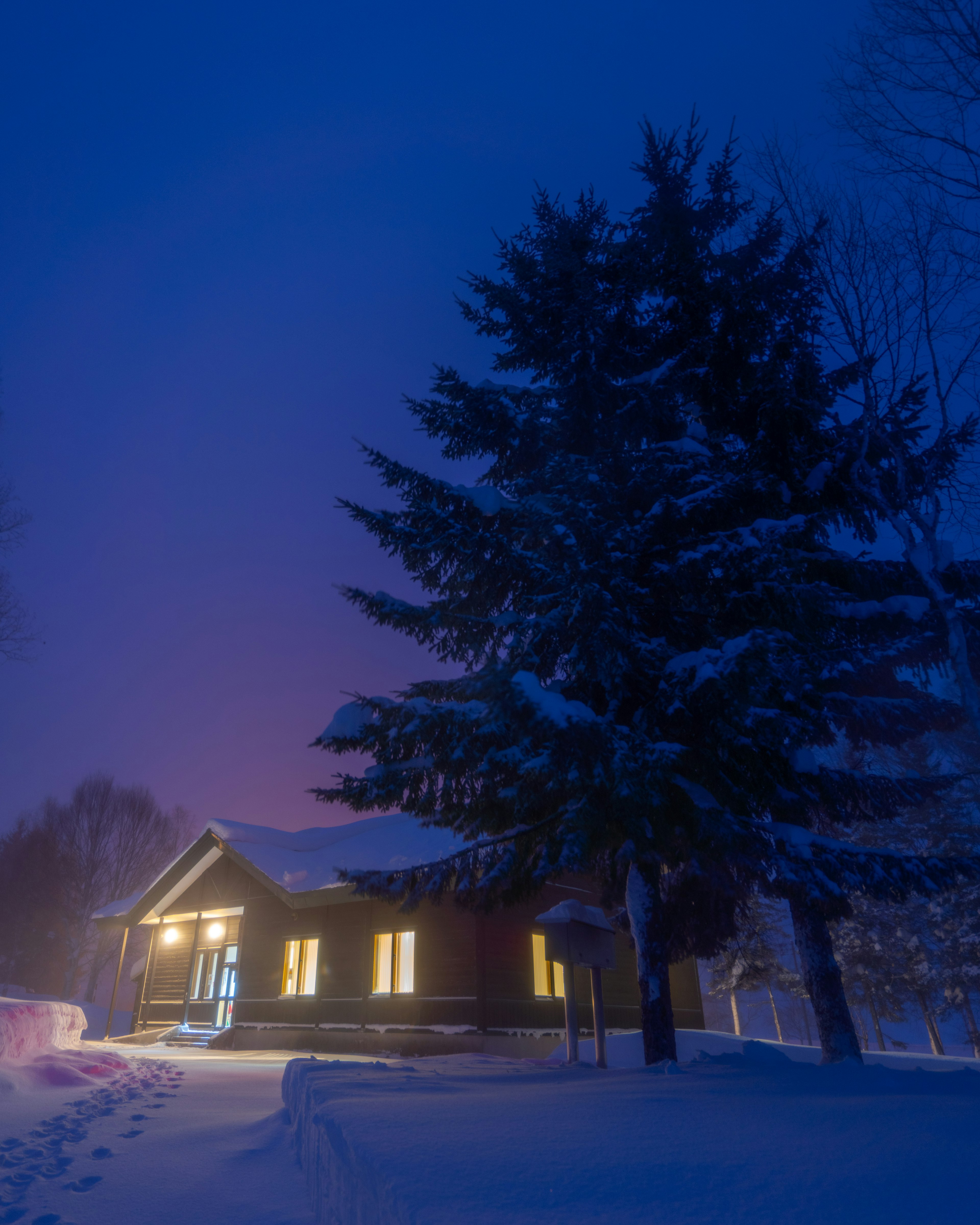 Snow-covered house with a large tree dark blue sky and warm lights