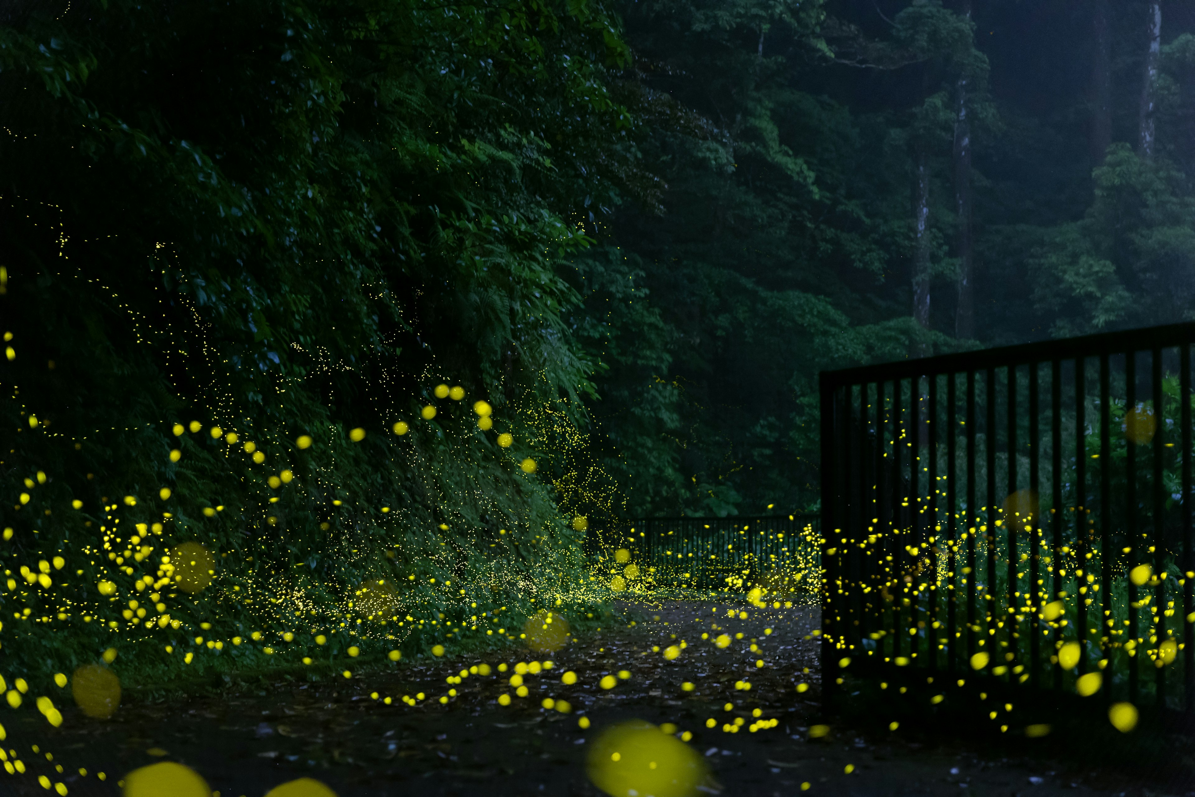 Imagen de luciérnagas brillantes en un bosque oscuro