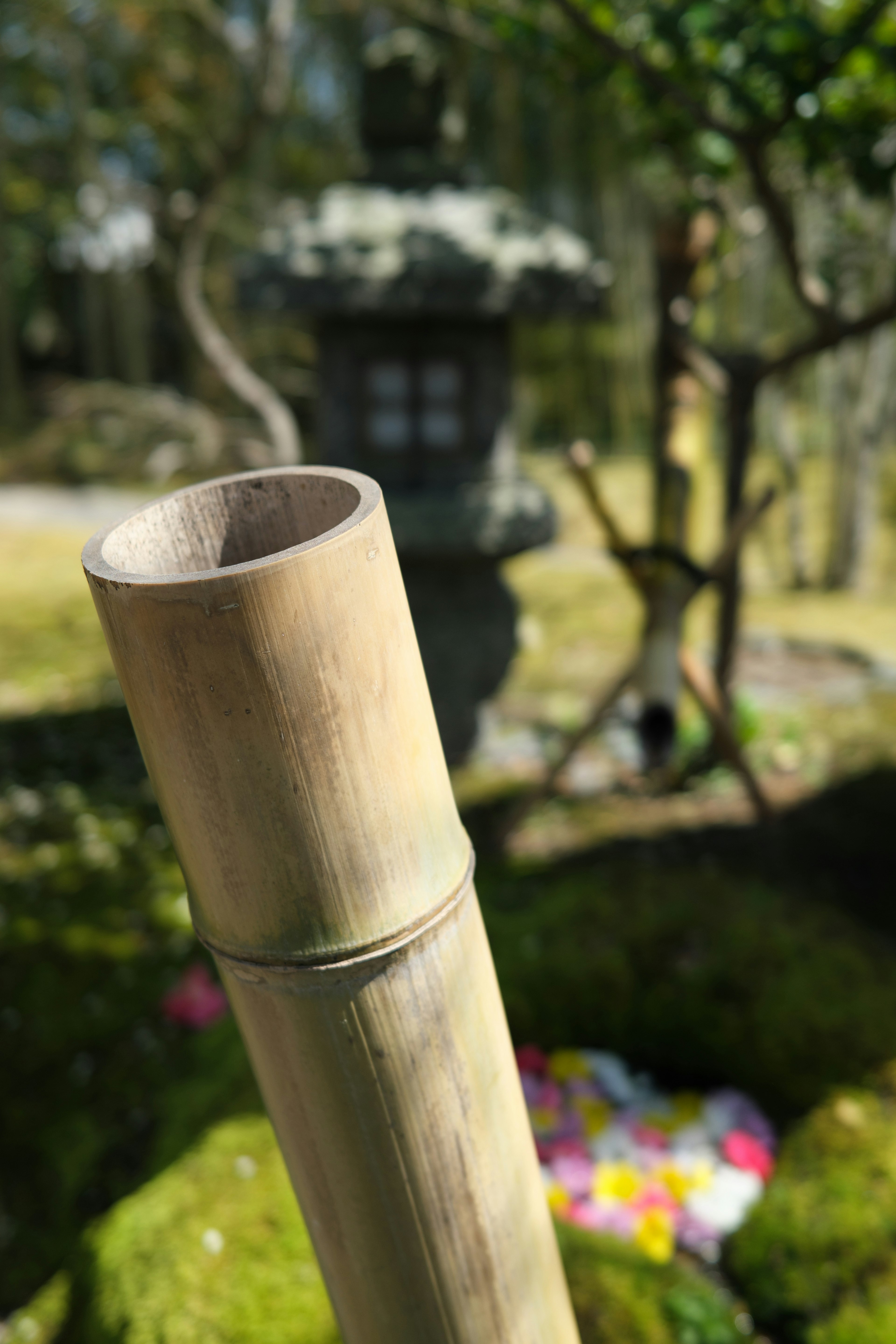 Tubo de bambú con una linterna de piedra en un jardín japonés