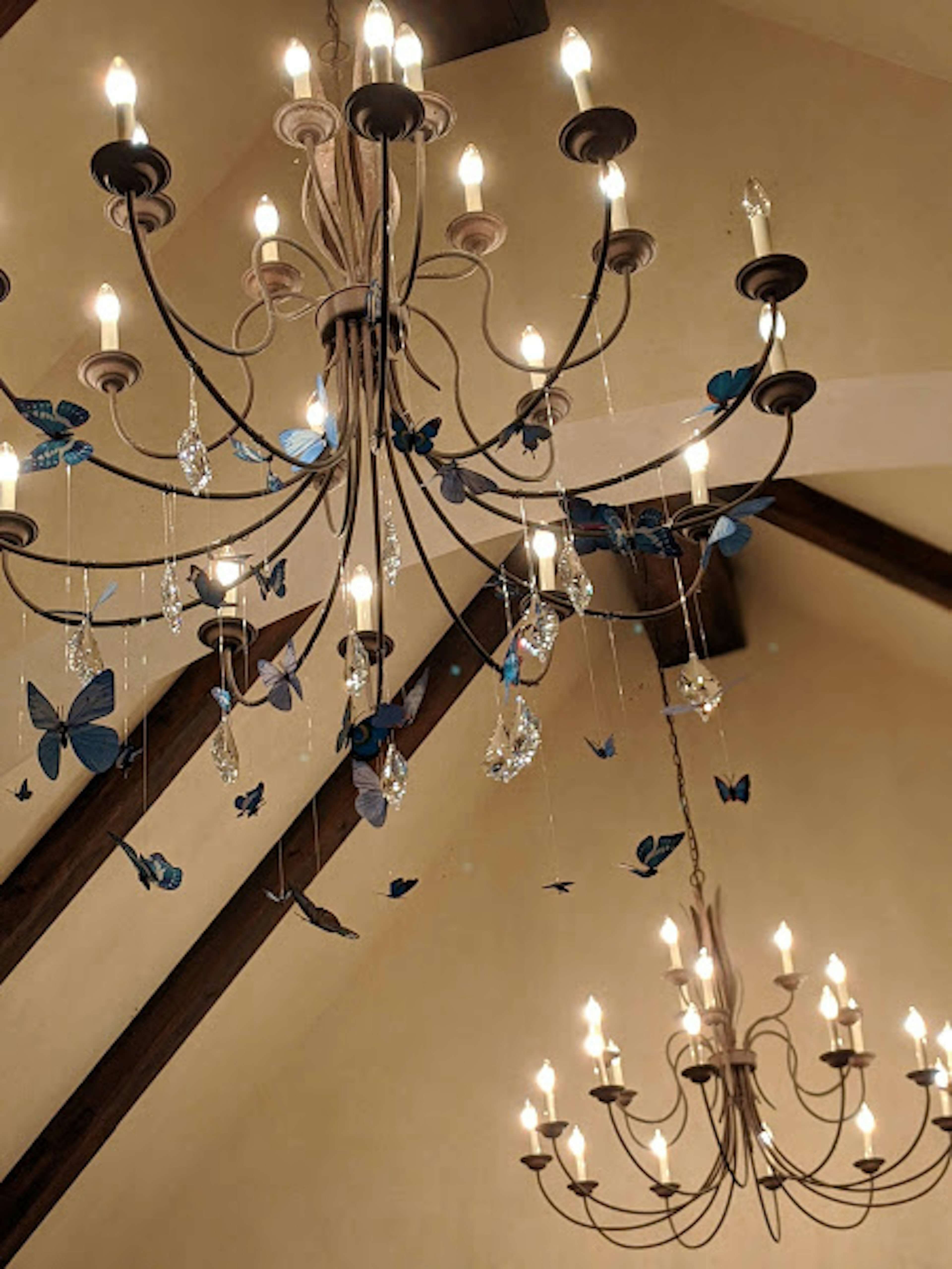 Elegant chandelier with blue butterflies and warm lighting