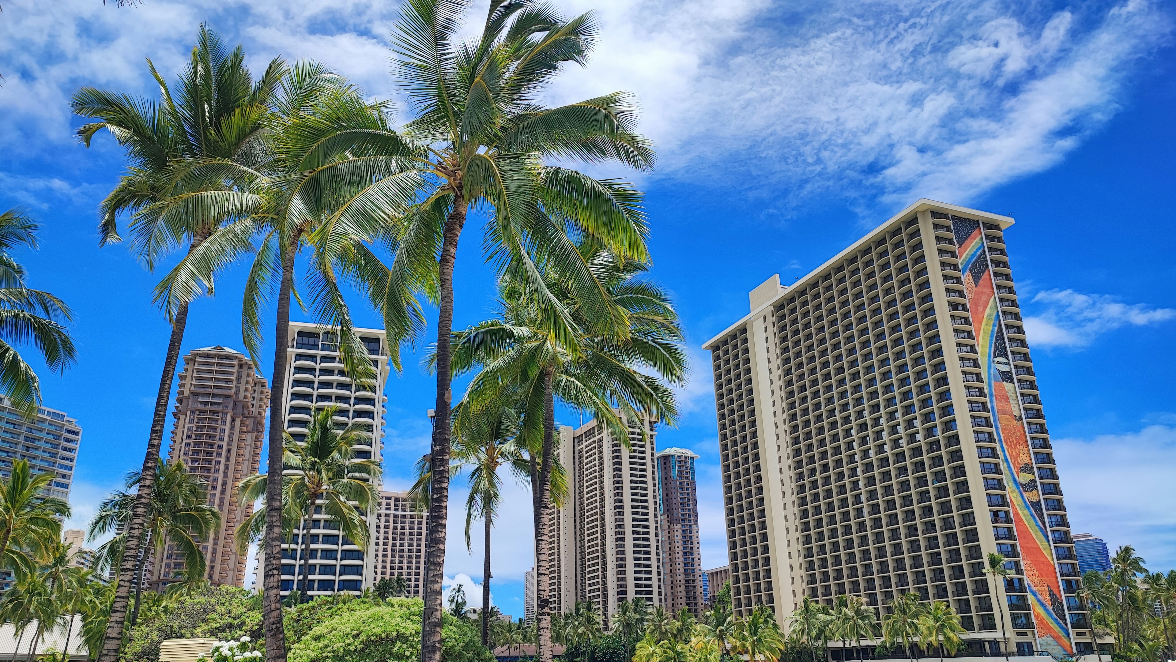 View of tall buildings and palm trees under a blue sky in Hawaii