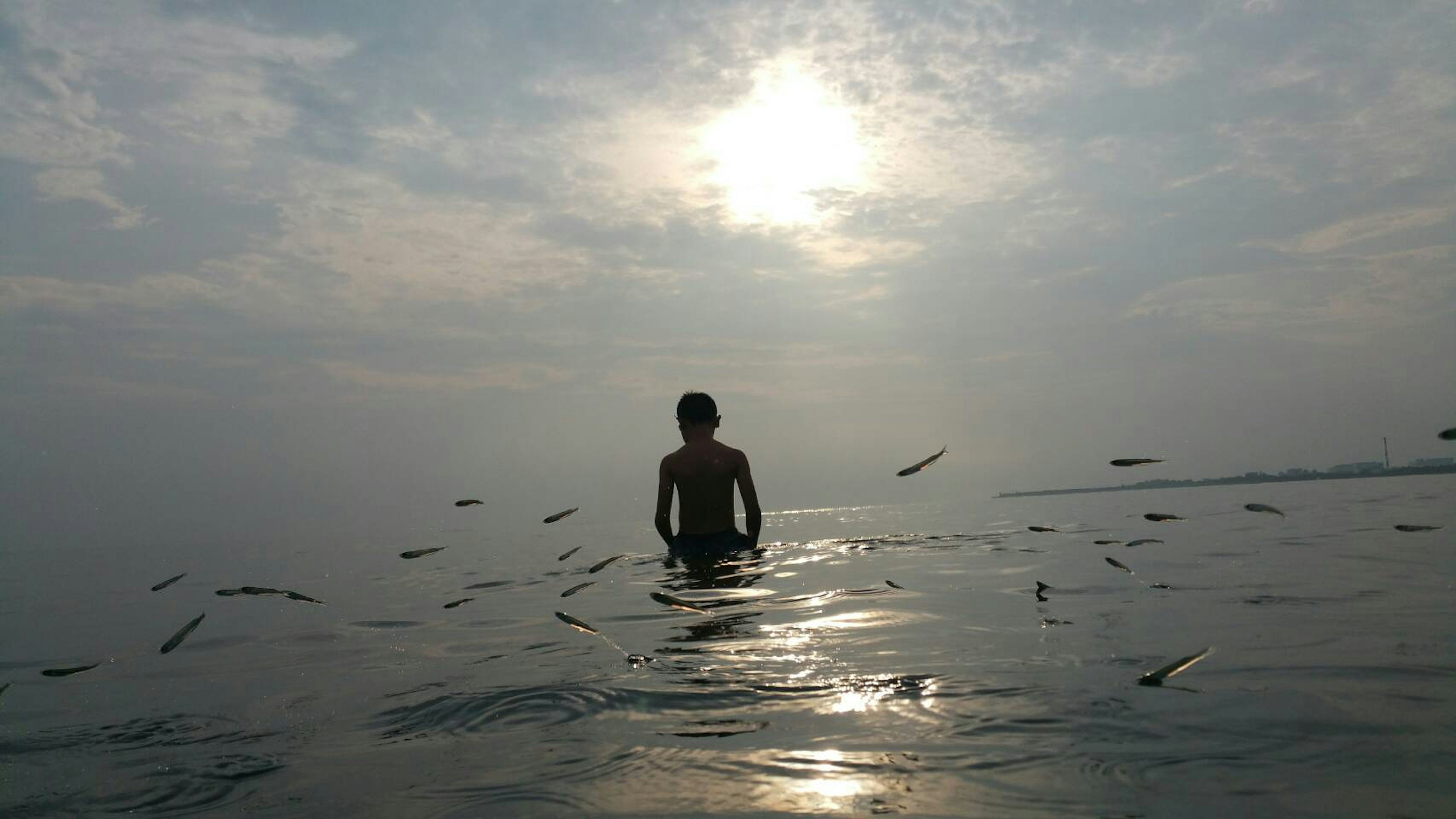 A boy standing in shallow water surrounded by fish under a cloudy sky