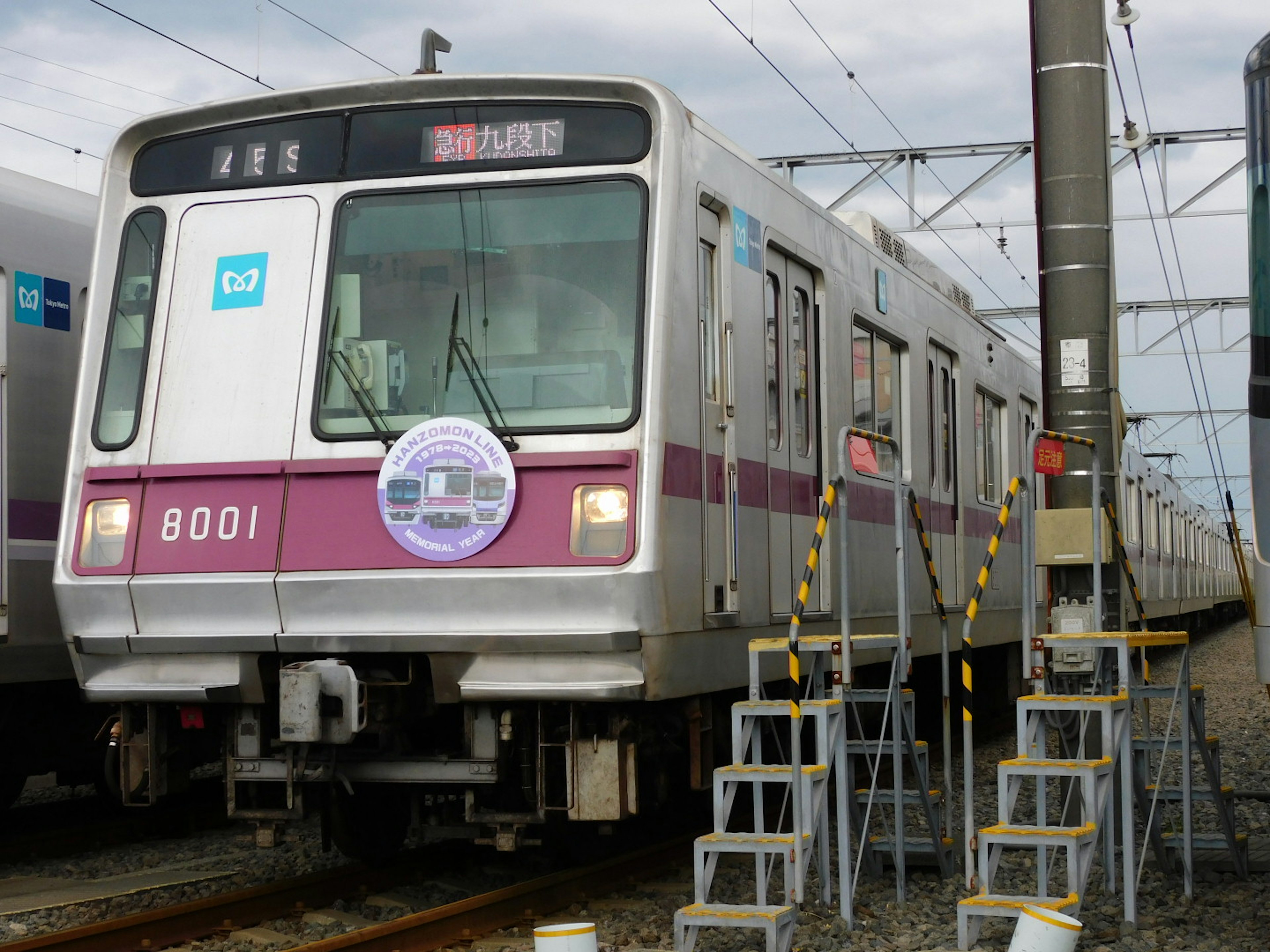 Train numéro 8001 arrêté sur les rails