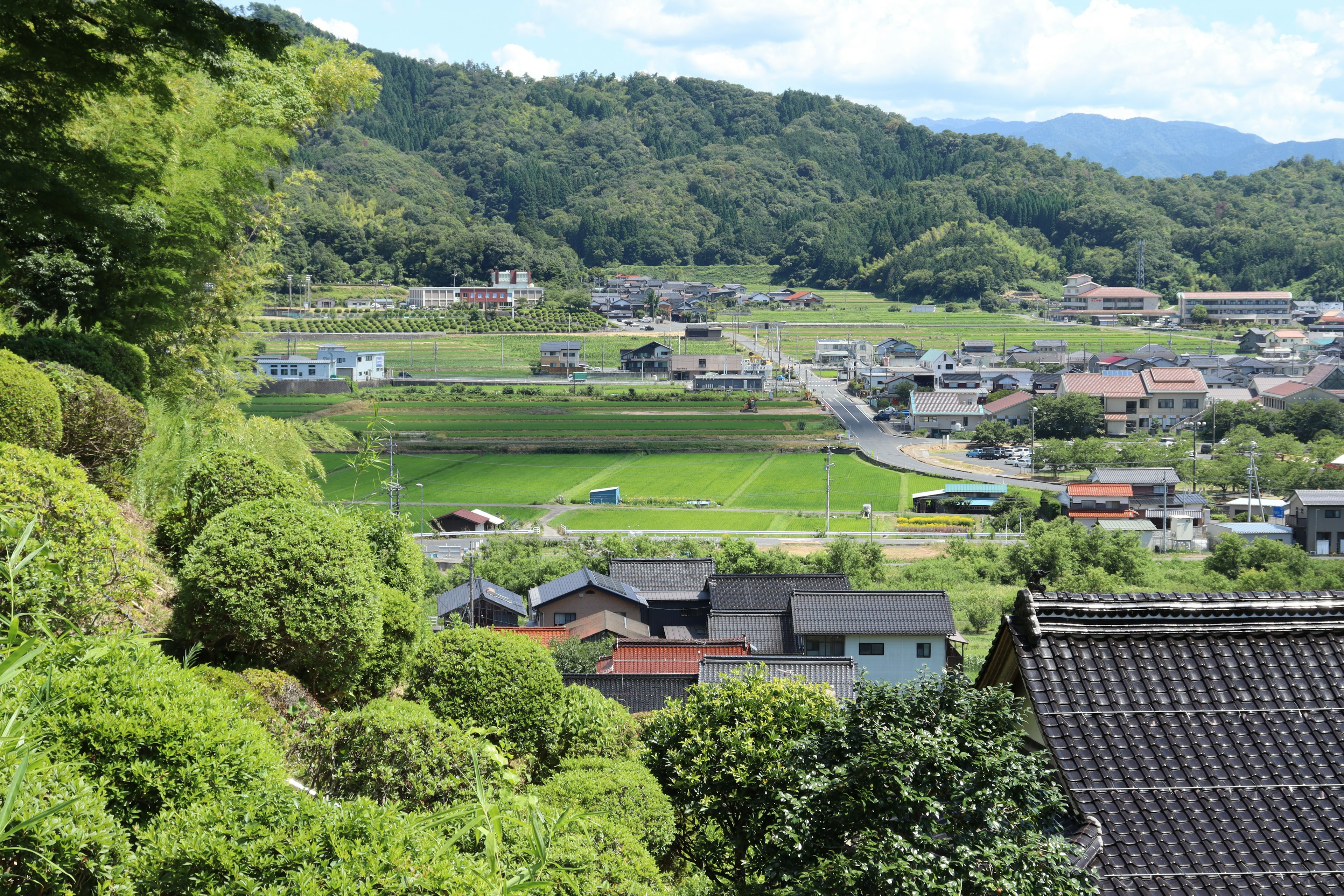 Panoramic view of lush countryside and houses