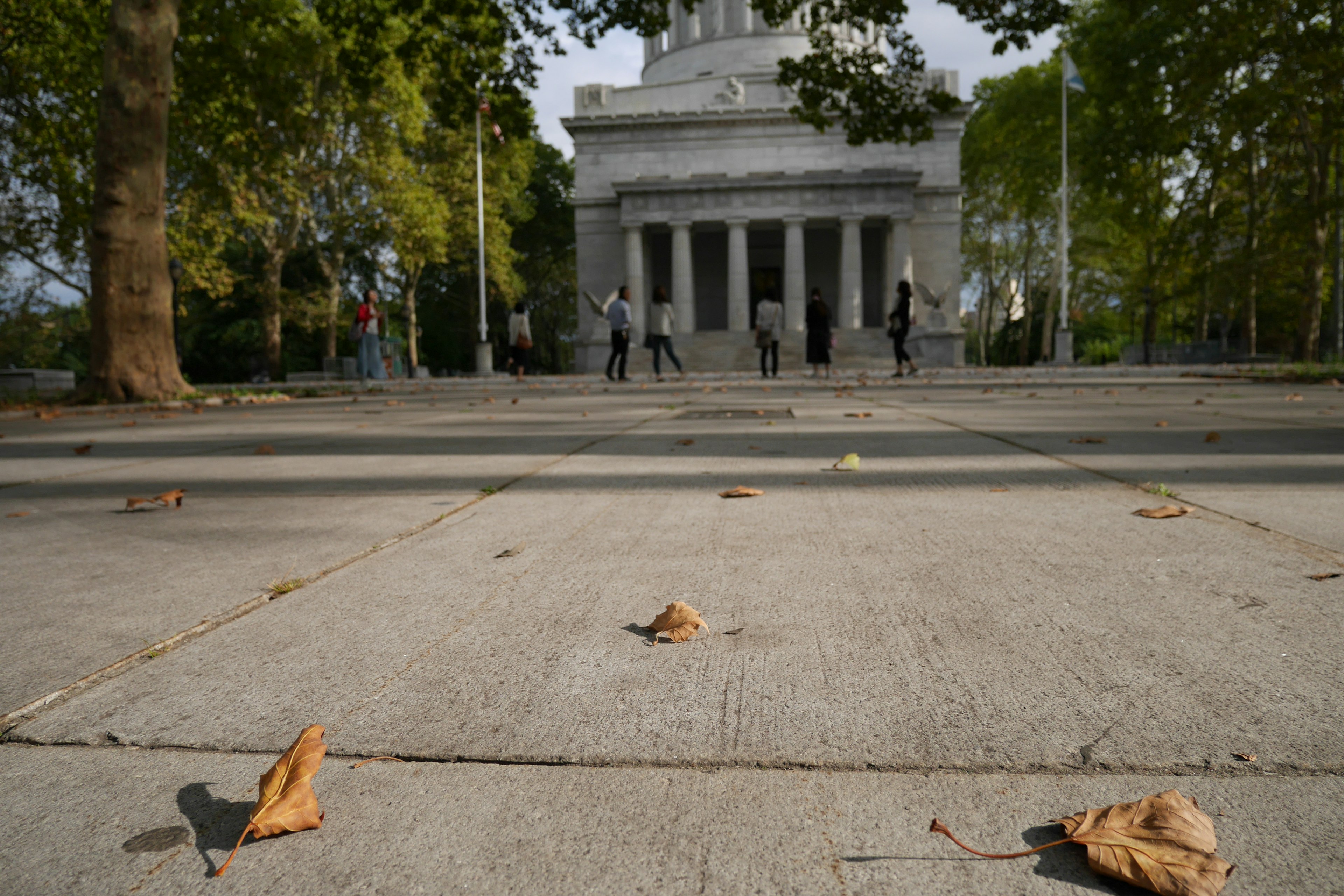 Dried leaves on a stone pavement with a building in the background