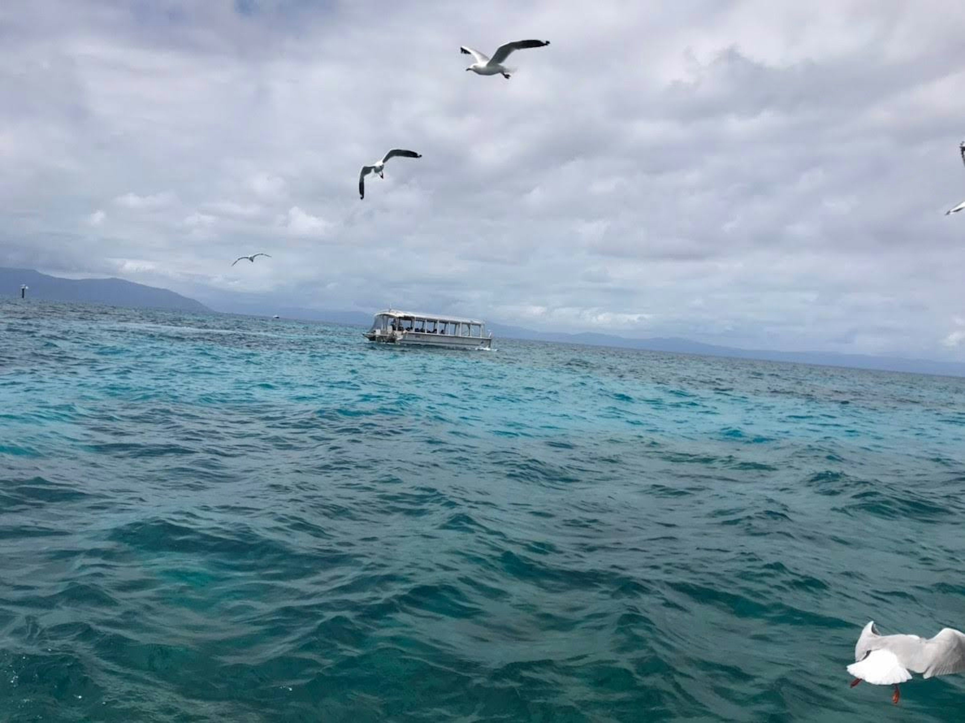 青い海と雲のある空の下に浮かぶ船と飛ぶ鳥