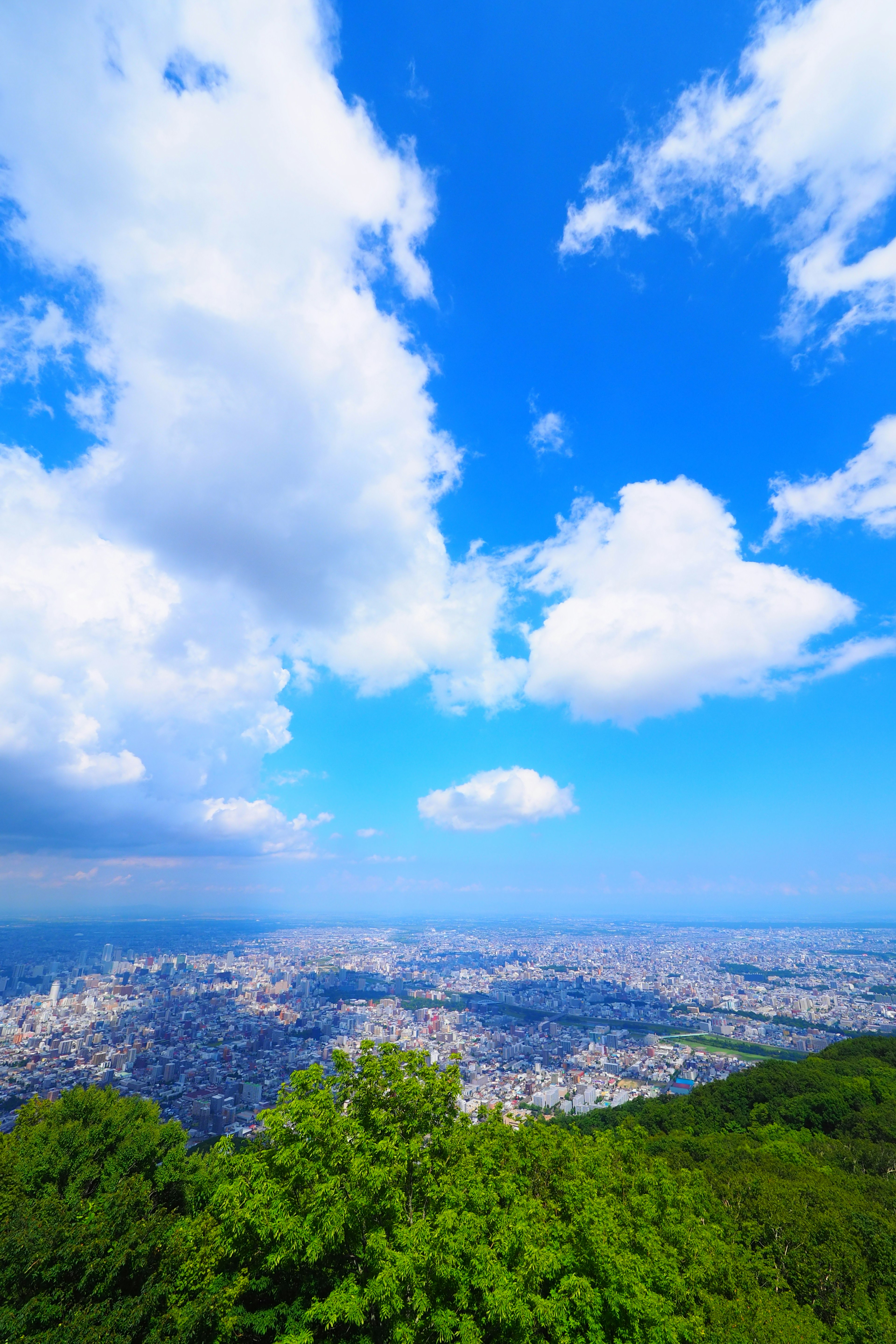 Pemandangan panorama kota di bawah langit biru dengan awan berbulu dan dedaunan hijau di latar depan