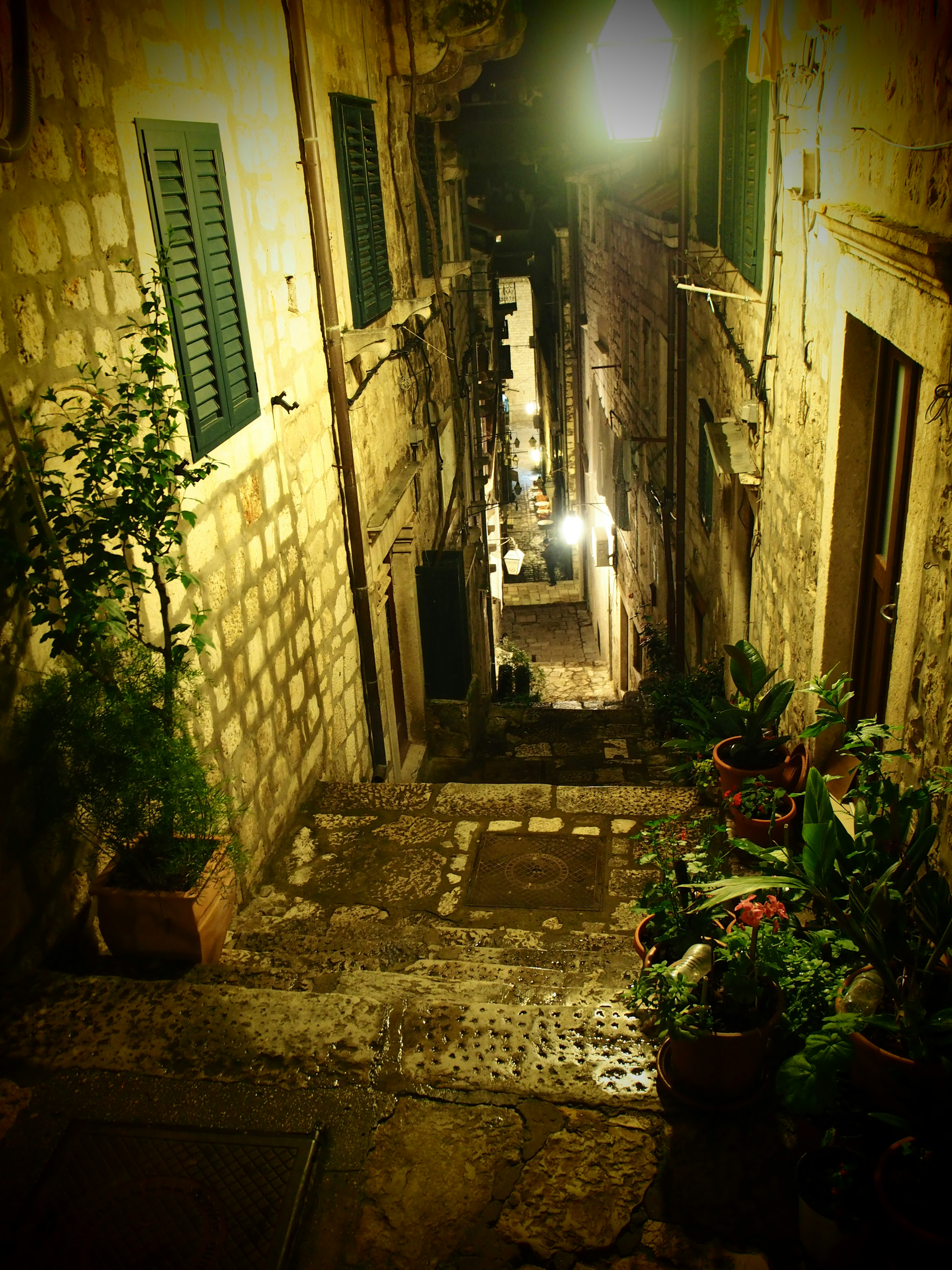 Narrow cobblestone alley with plants at night