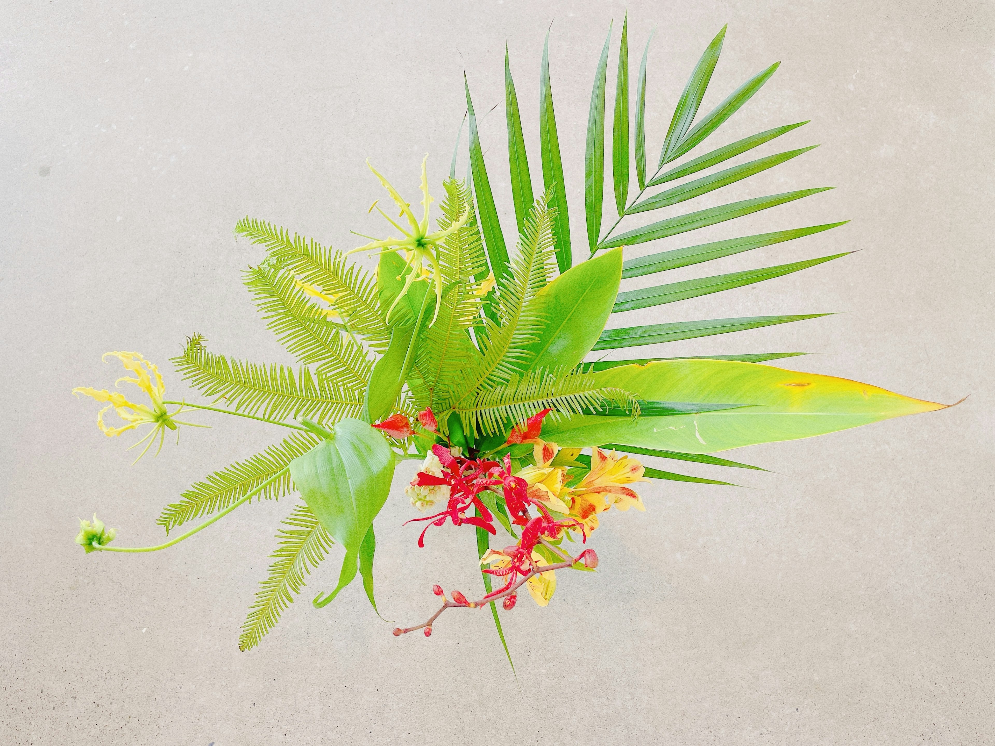 Arrangement of green leaves and vibrant flowers