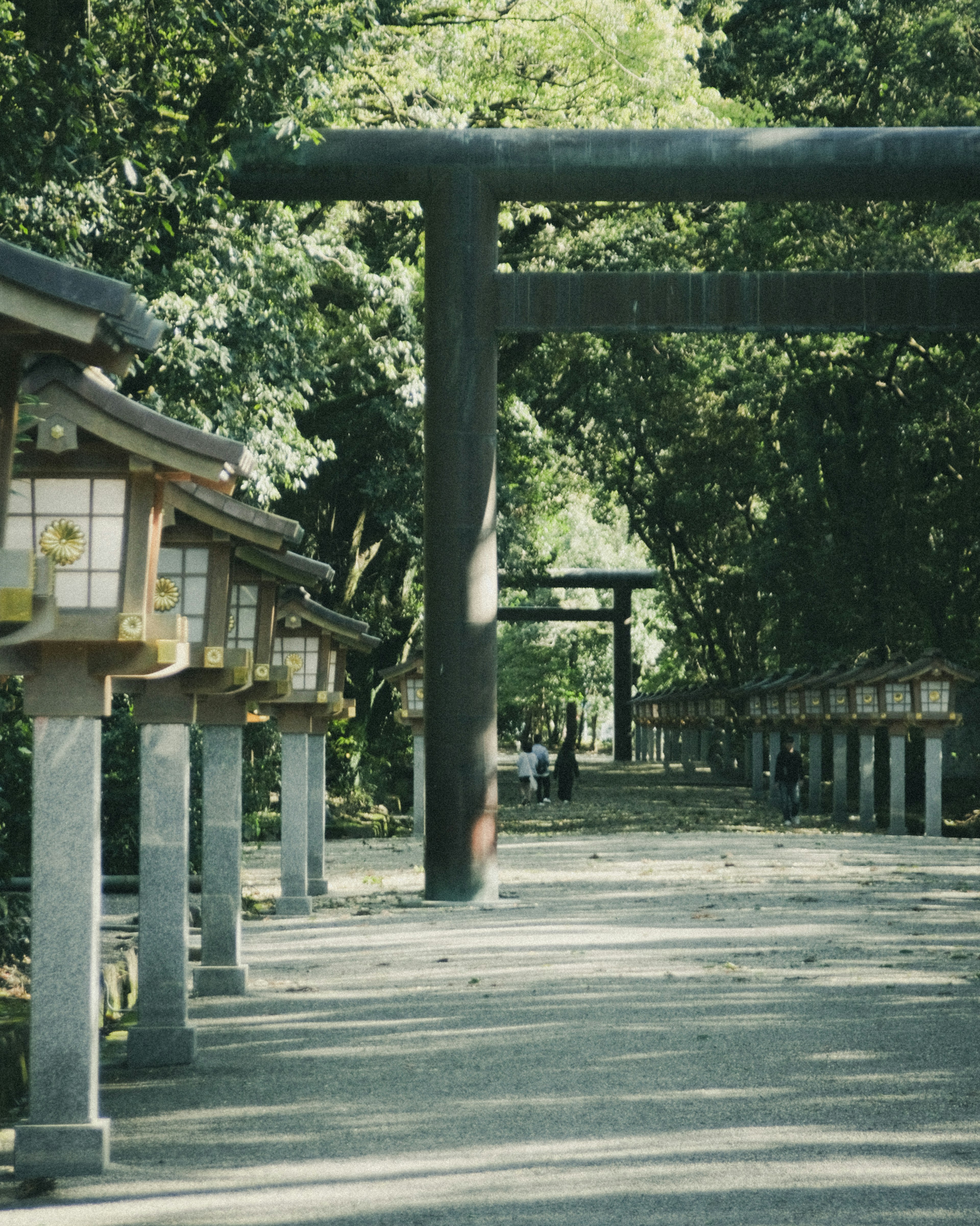 A pathway lined with lanterns and a torii gate in a lush green park