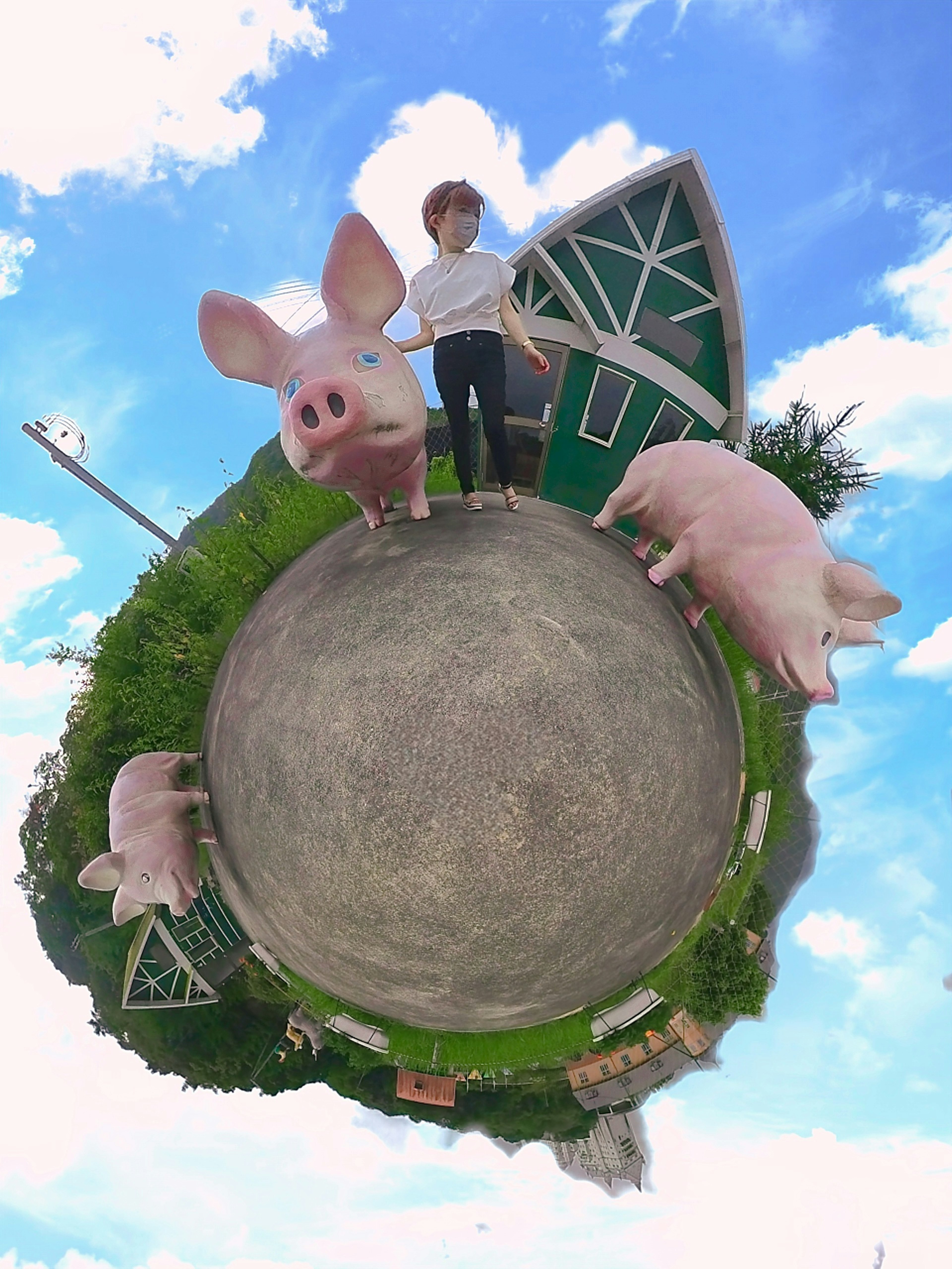 A panoramic image of a person standing with piglets against a blue sky and green landscape