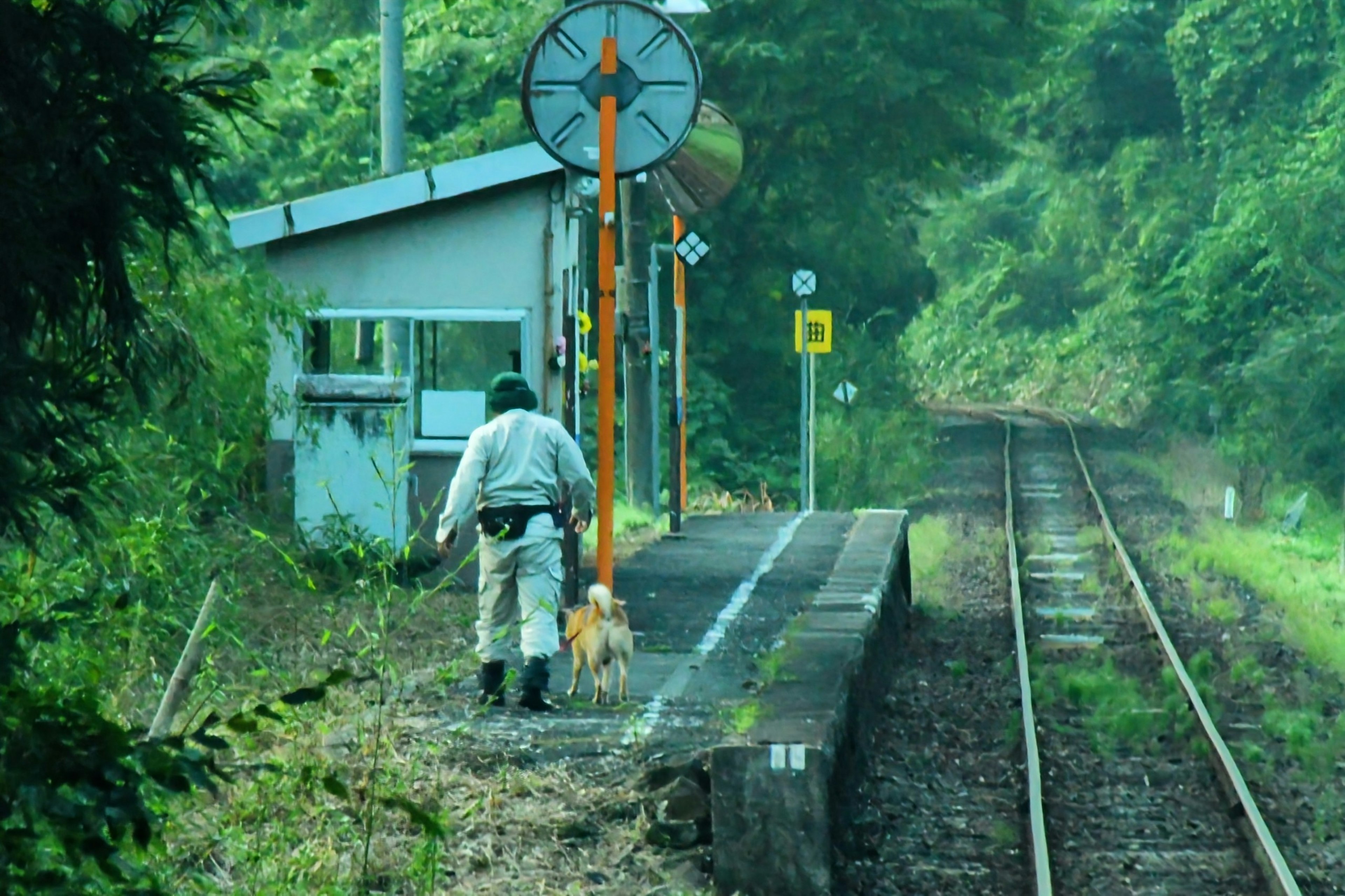 Seorang pria berjalan dengan anjing di stasiun kereta yang dikelilingi pepohonan