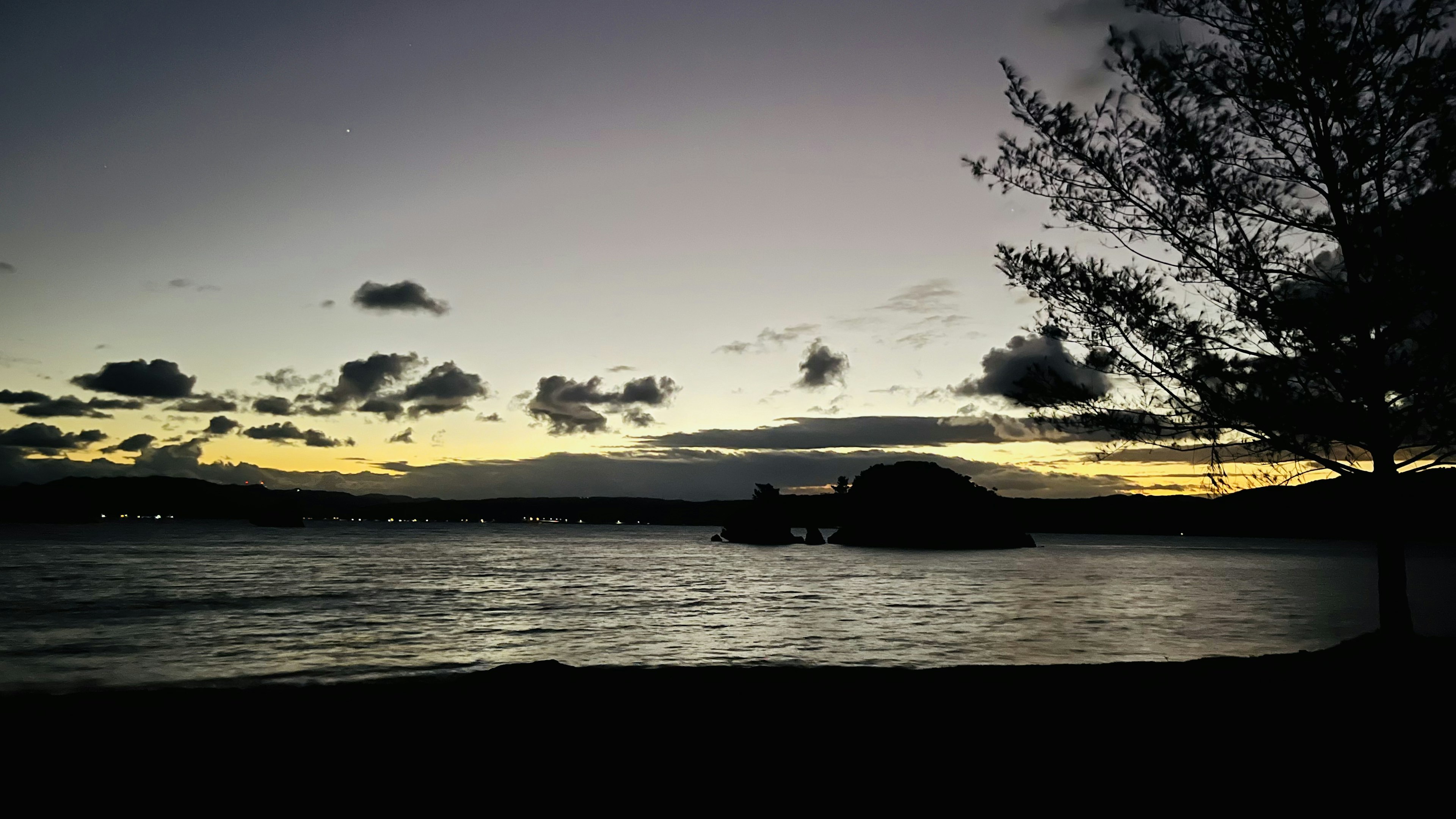 夕暮れの海岸の風景、暗い空に浮かぶ雲、静かな海面、木のシルエット