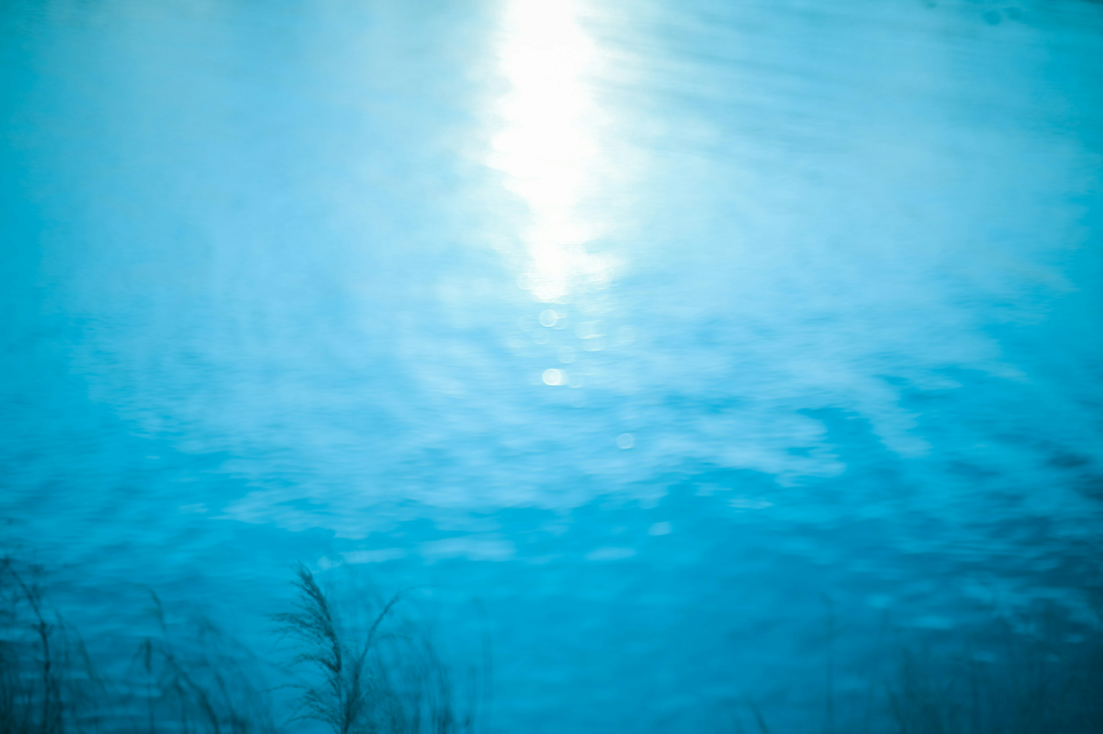 Blue water surface reflecting light with silhouettes of grass