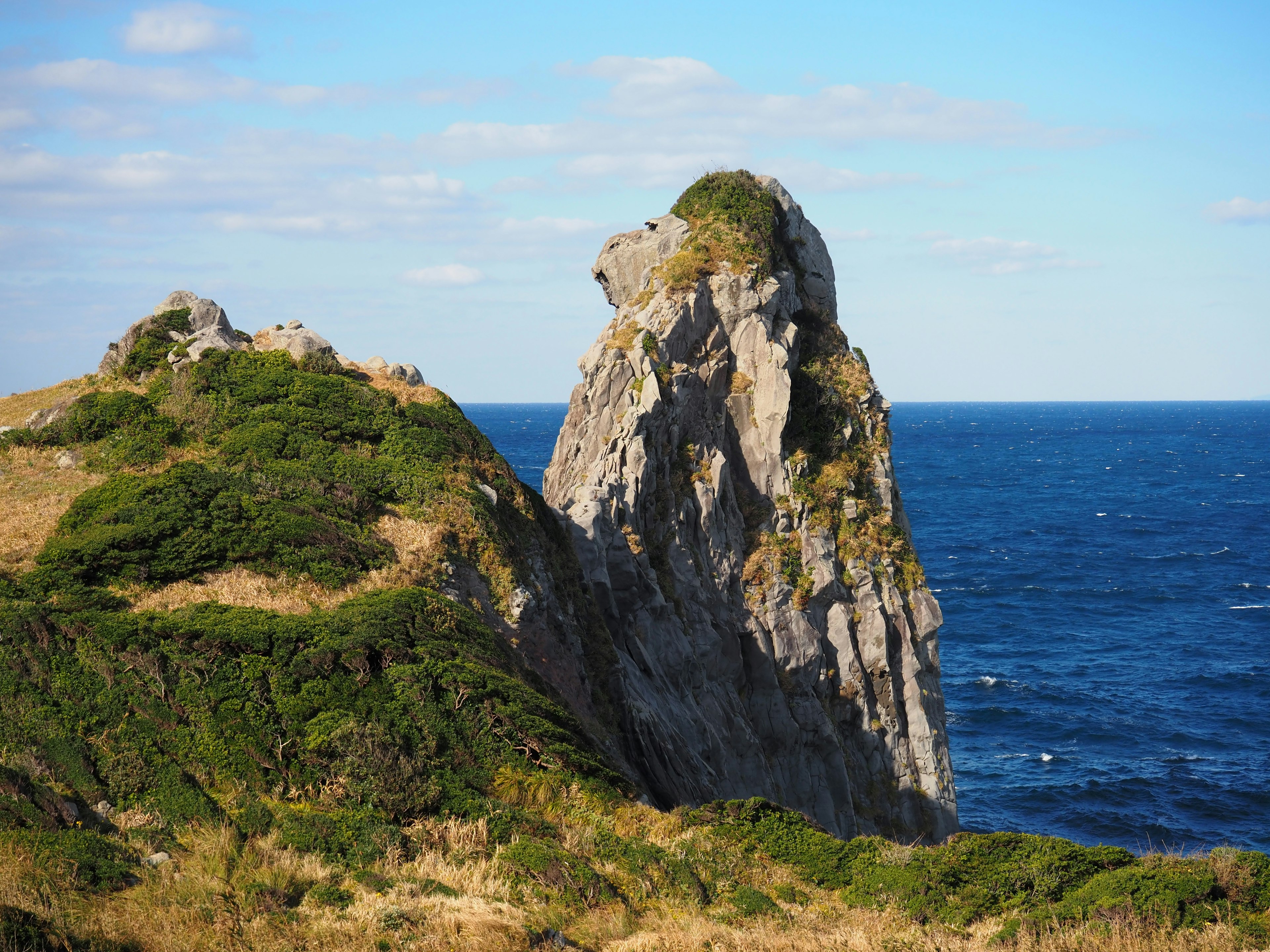 Lush green cliff with a towering rock facing the sea