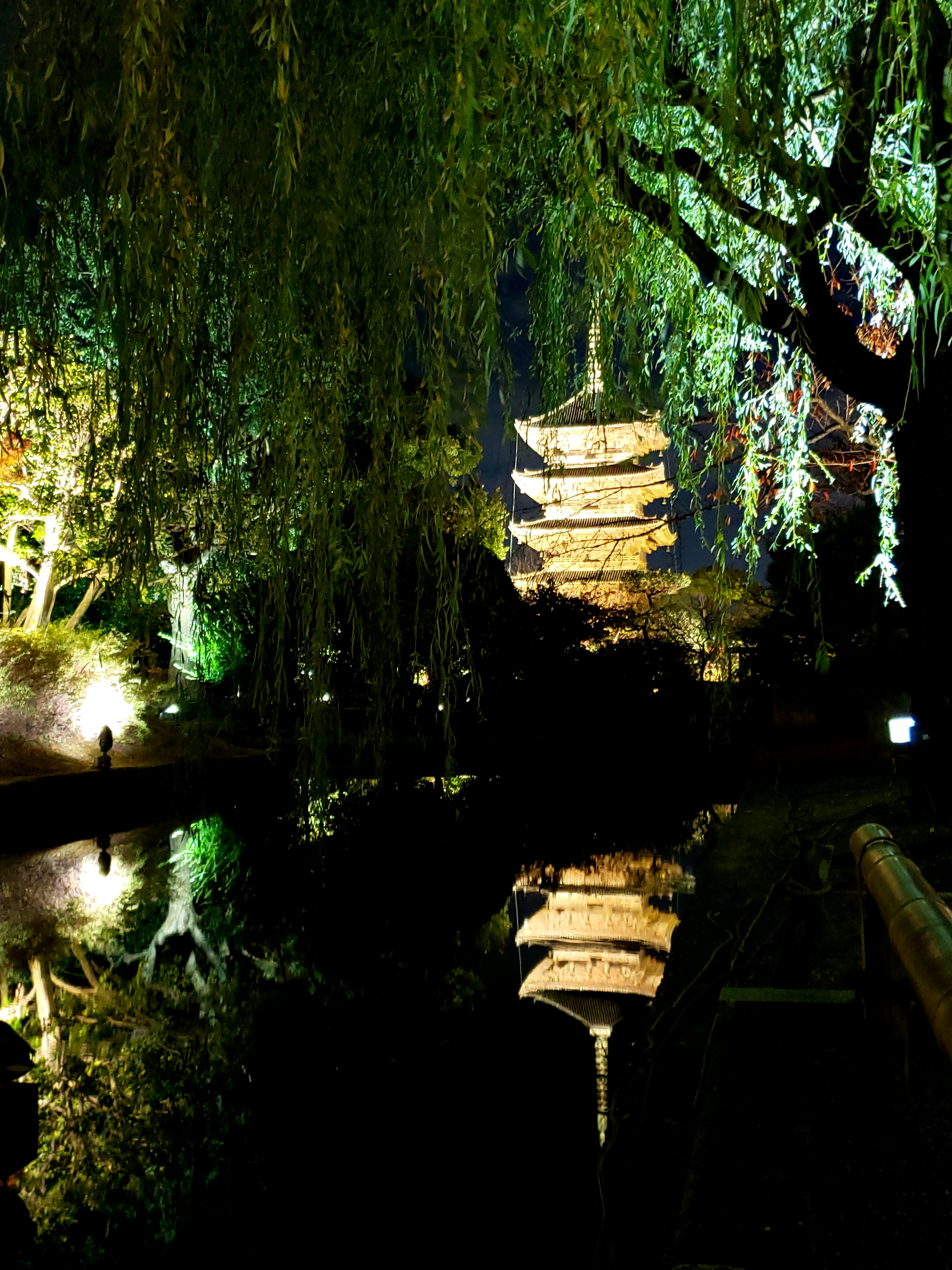 宁静的夜间花园场景，水中倒映着塔和柳树