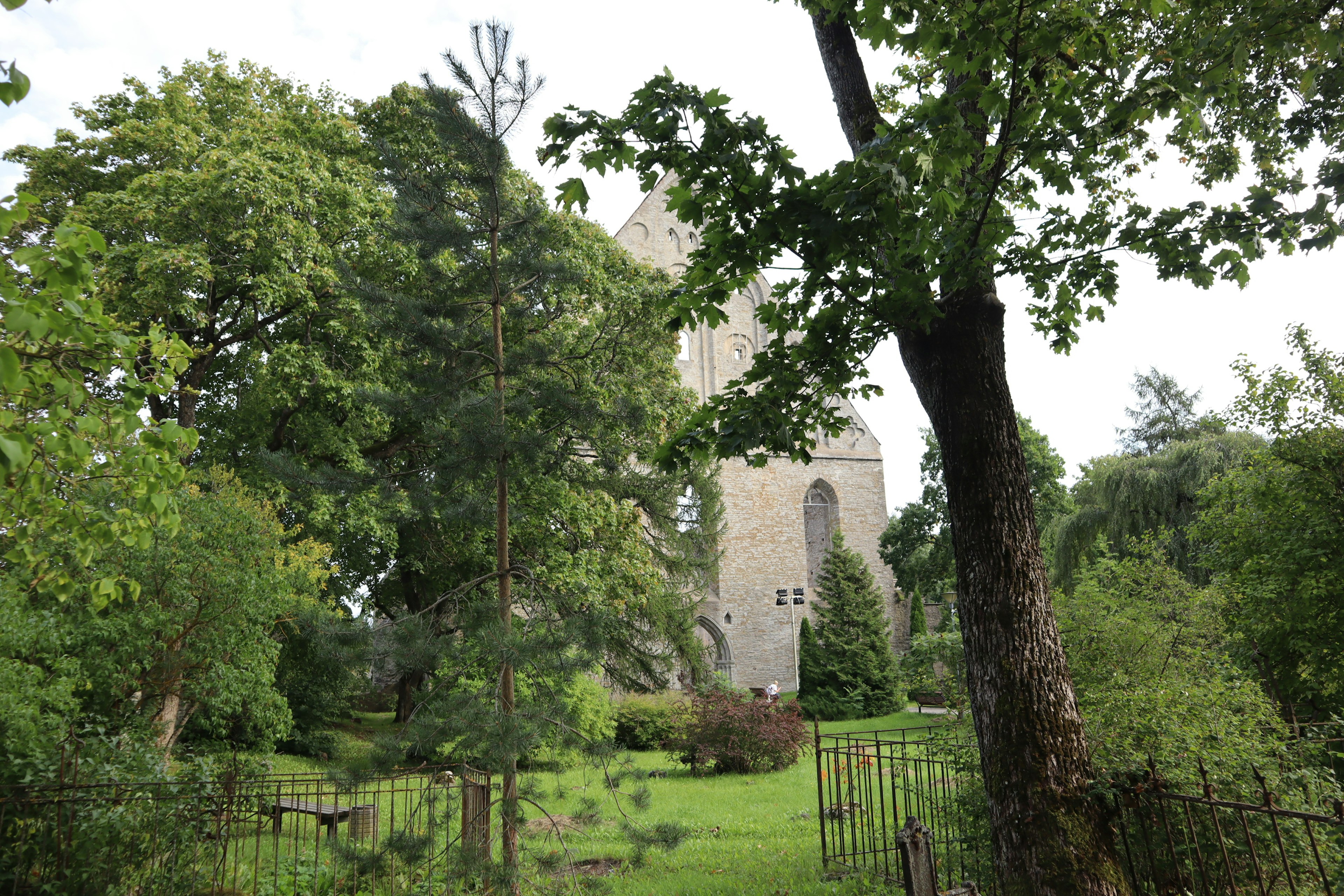 Una vista de una antigua ruina de iglesia rodeada de vegetación