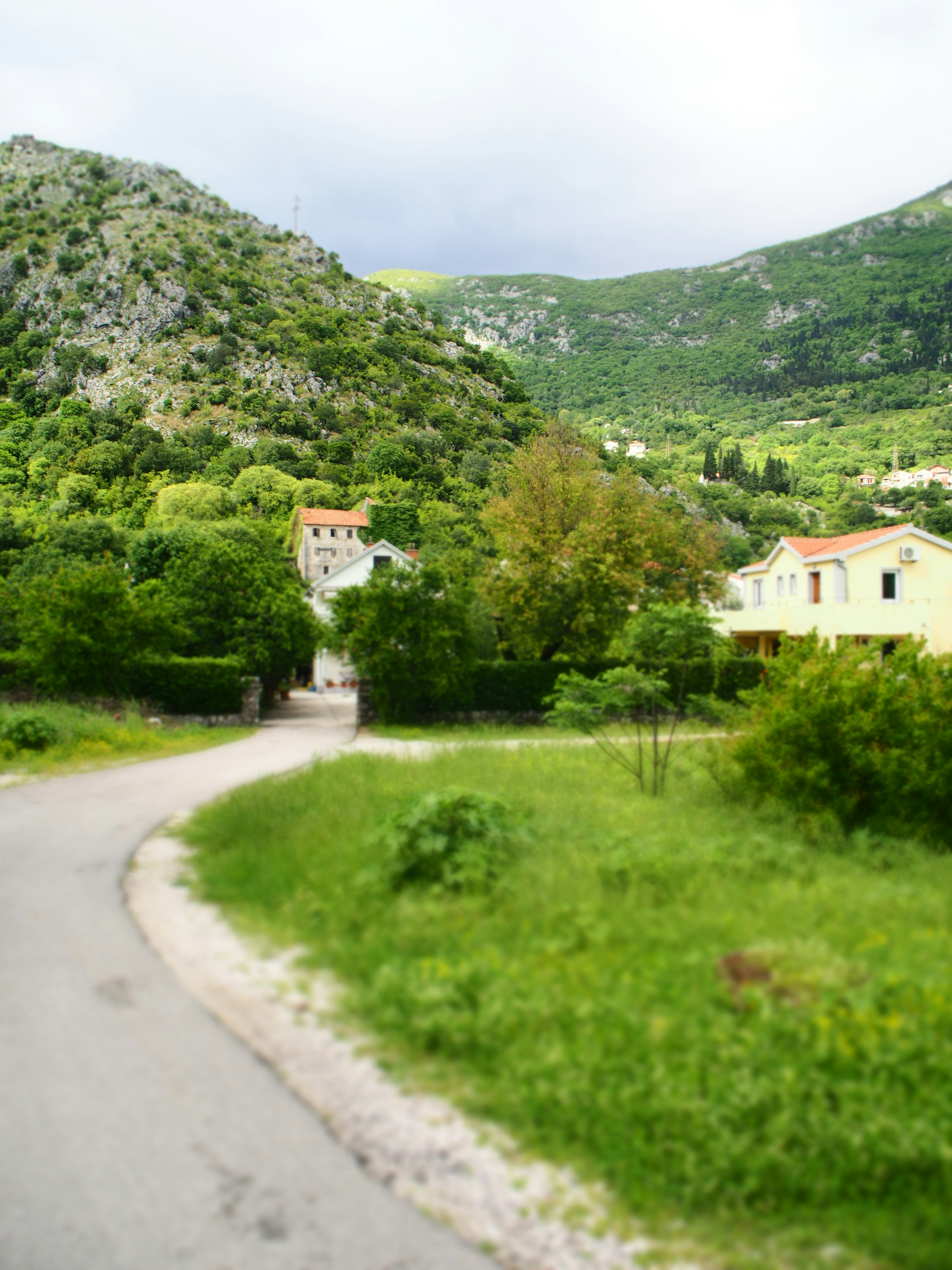 Malersiche Straße mit üppigem Grün und Häusern in einer bergigen Gegend