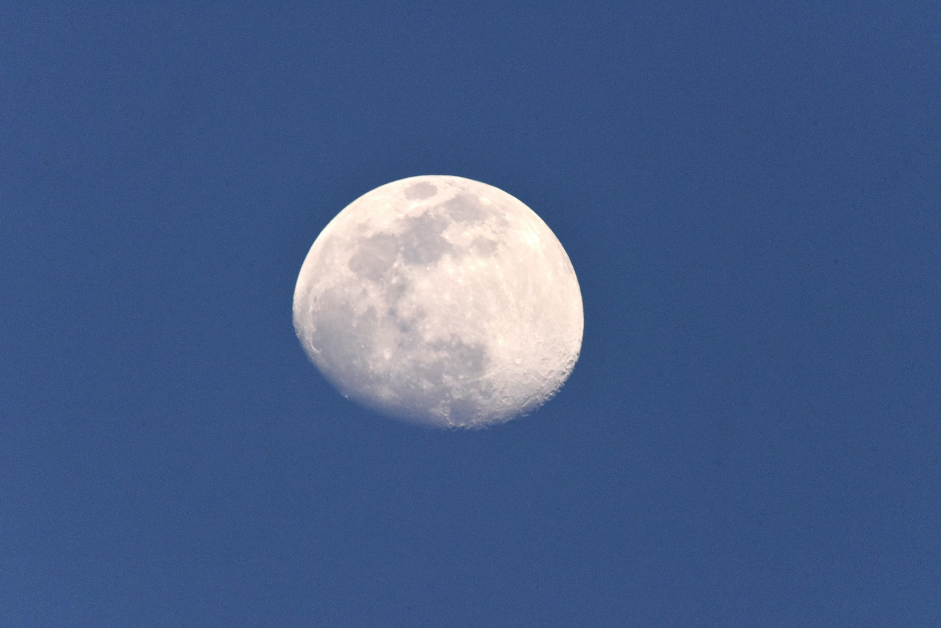 Hermosa imagen de una luna creciente en un cielo azul