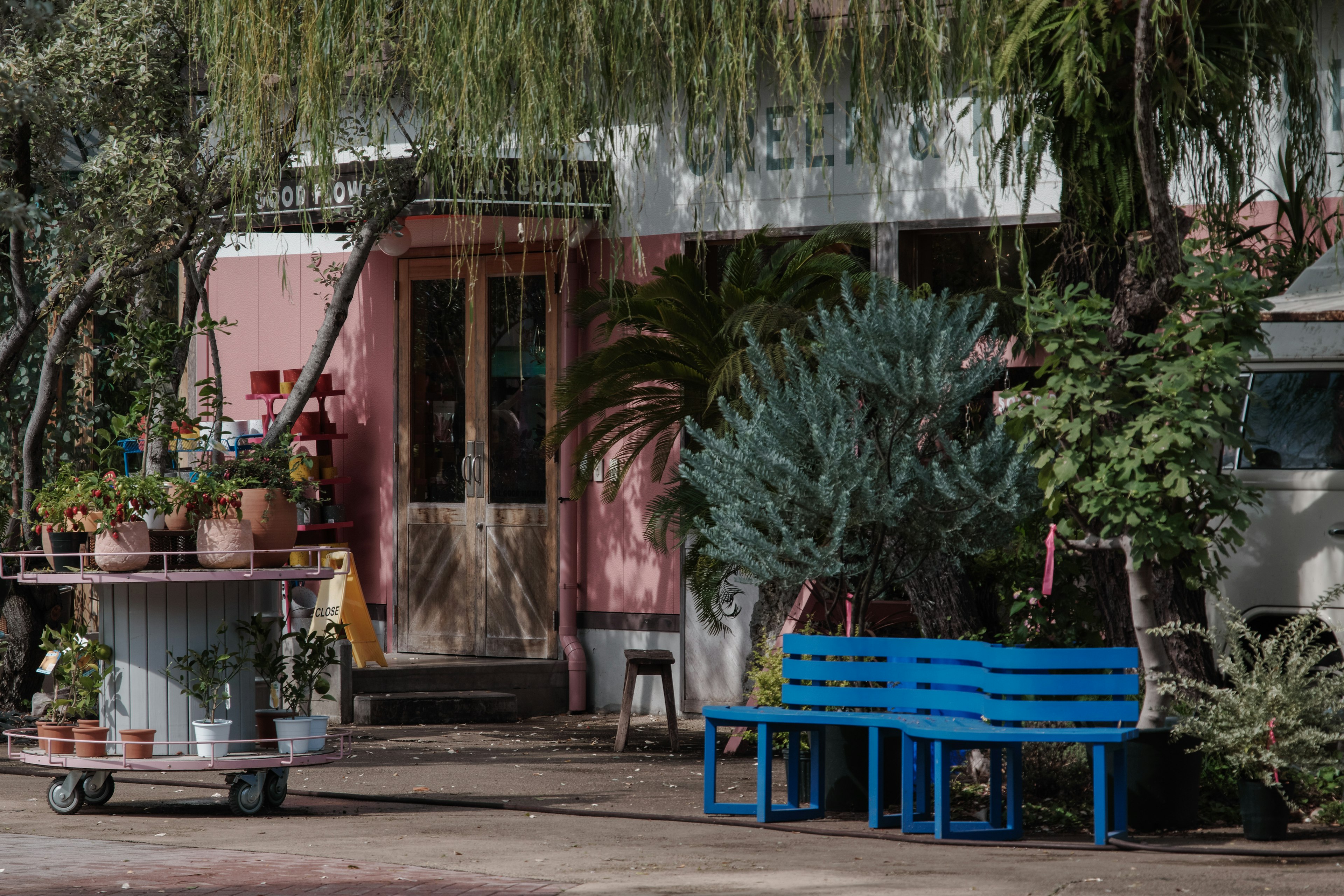 Extérieur d'un café avec des plantes colorées et un banc bleu