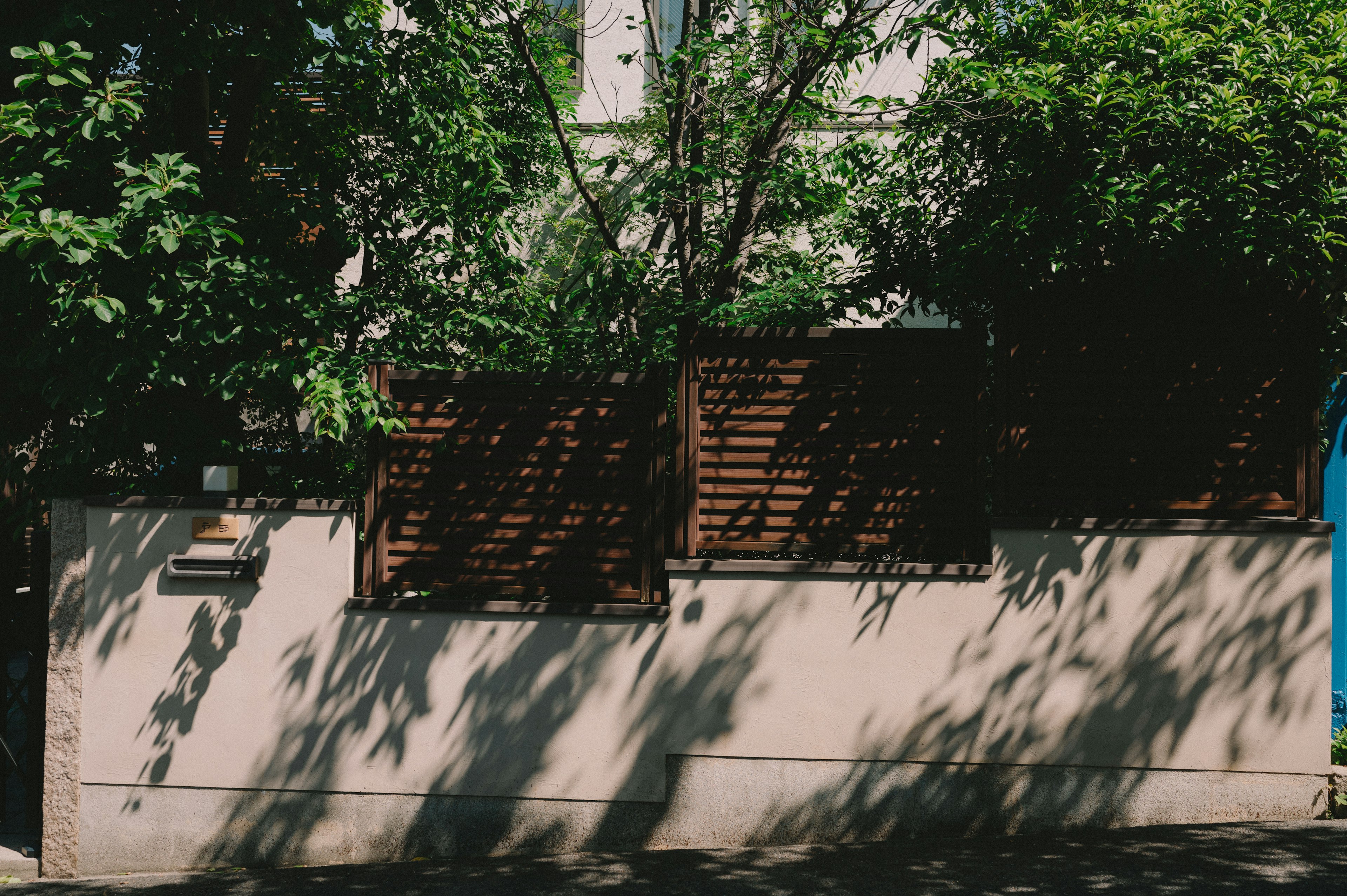 Una casa con muro bianco e alberi verdi con ombre