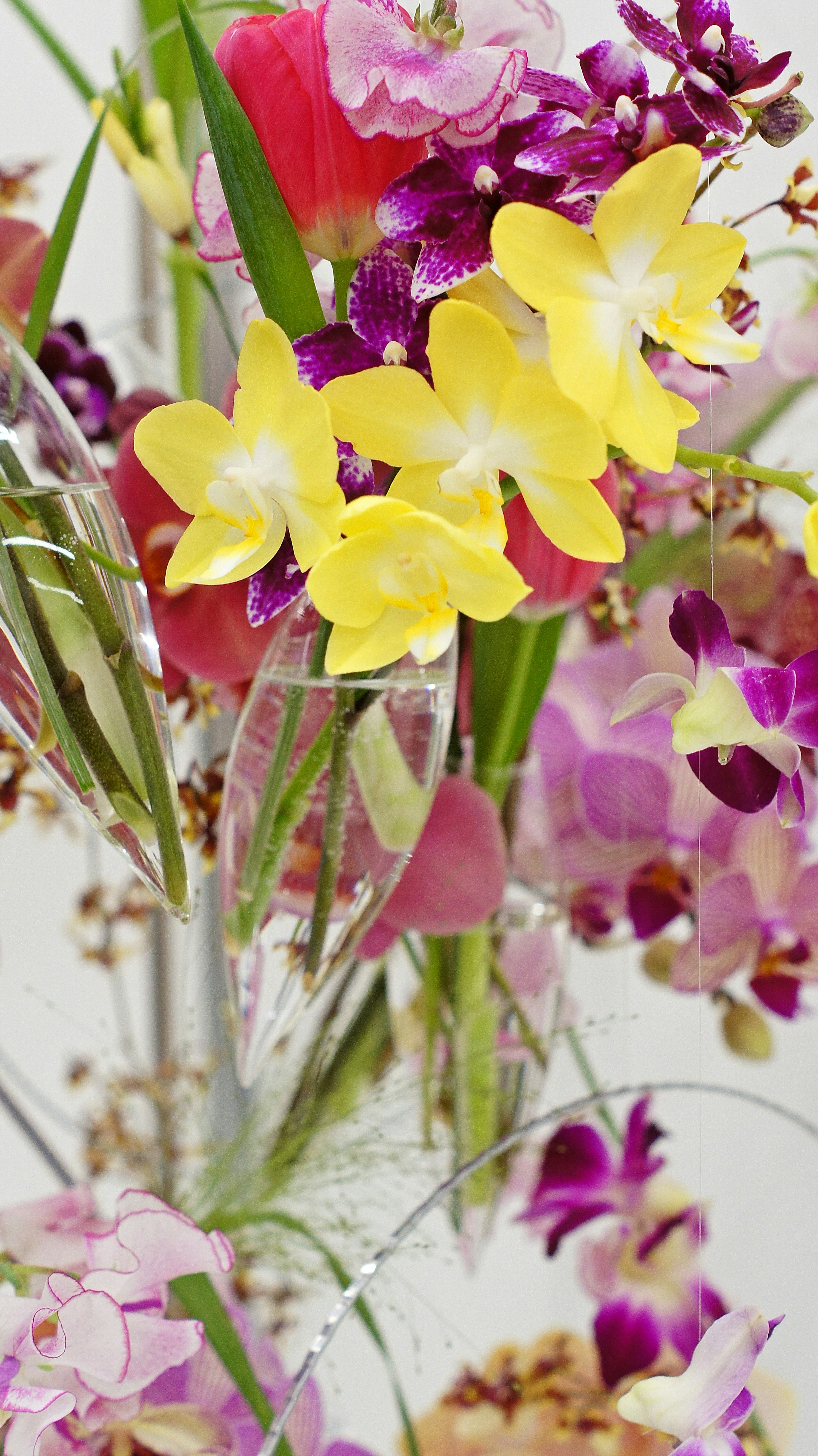 色とりどりの花々が特徴的な花束 黄色い花と紫の花が混ざり合っている