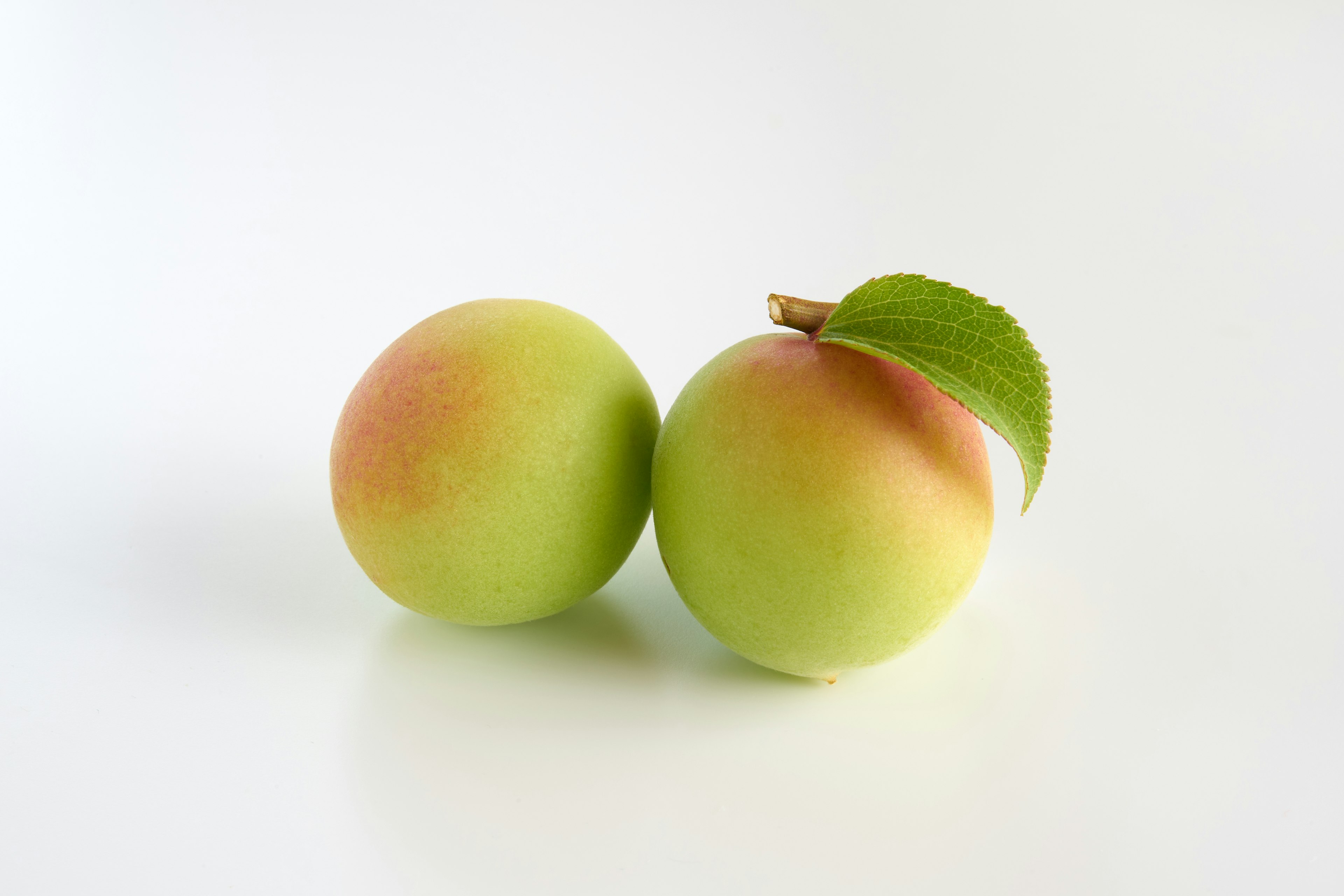 Two green fruits with a hint of red on a white background