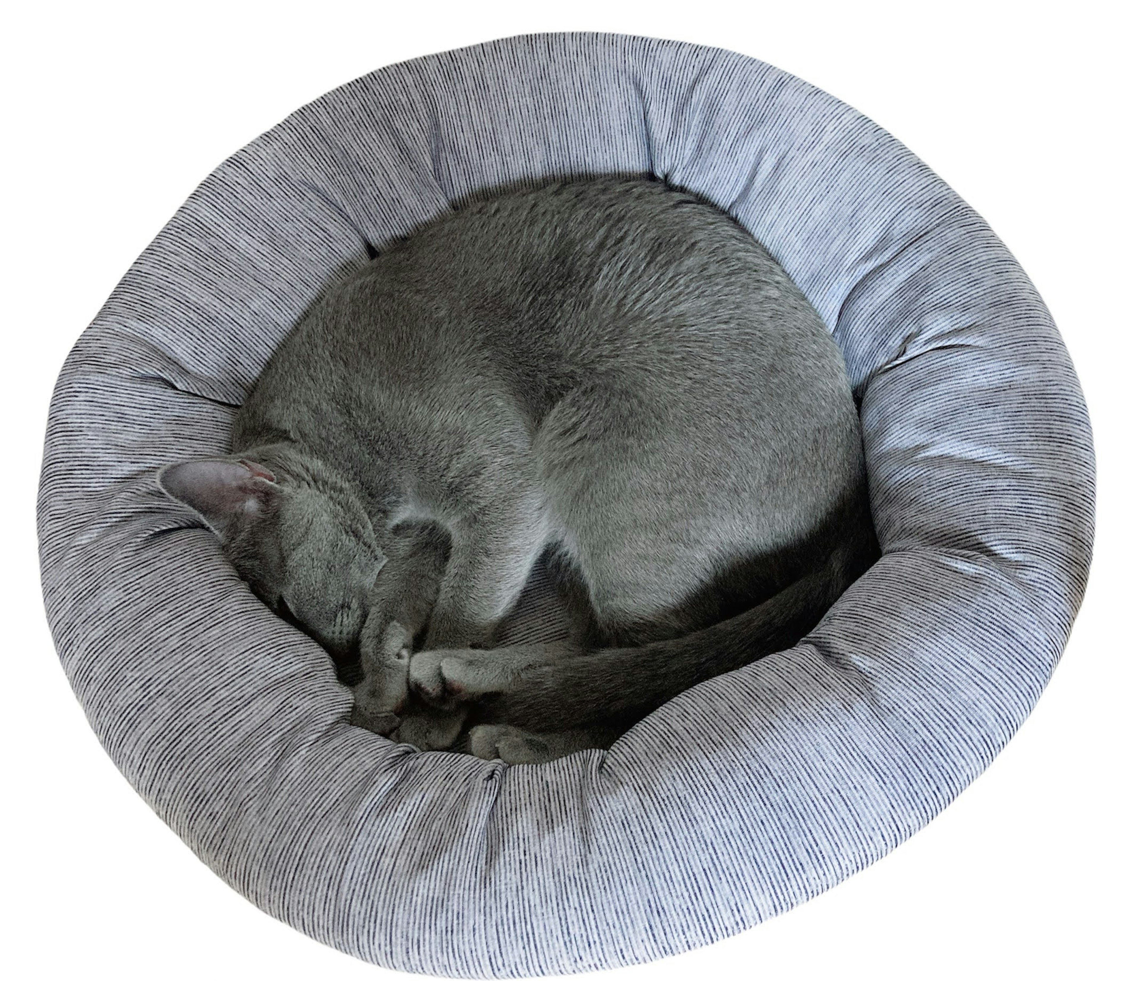 Gray cat curled up sleeping in a soft round bed