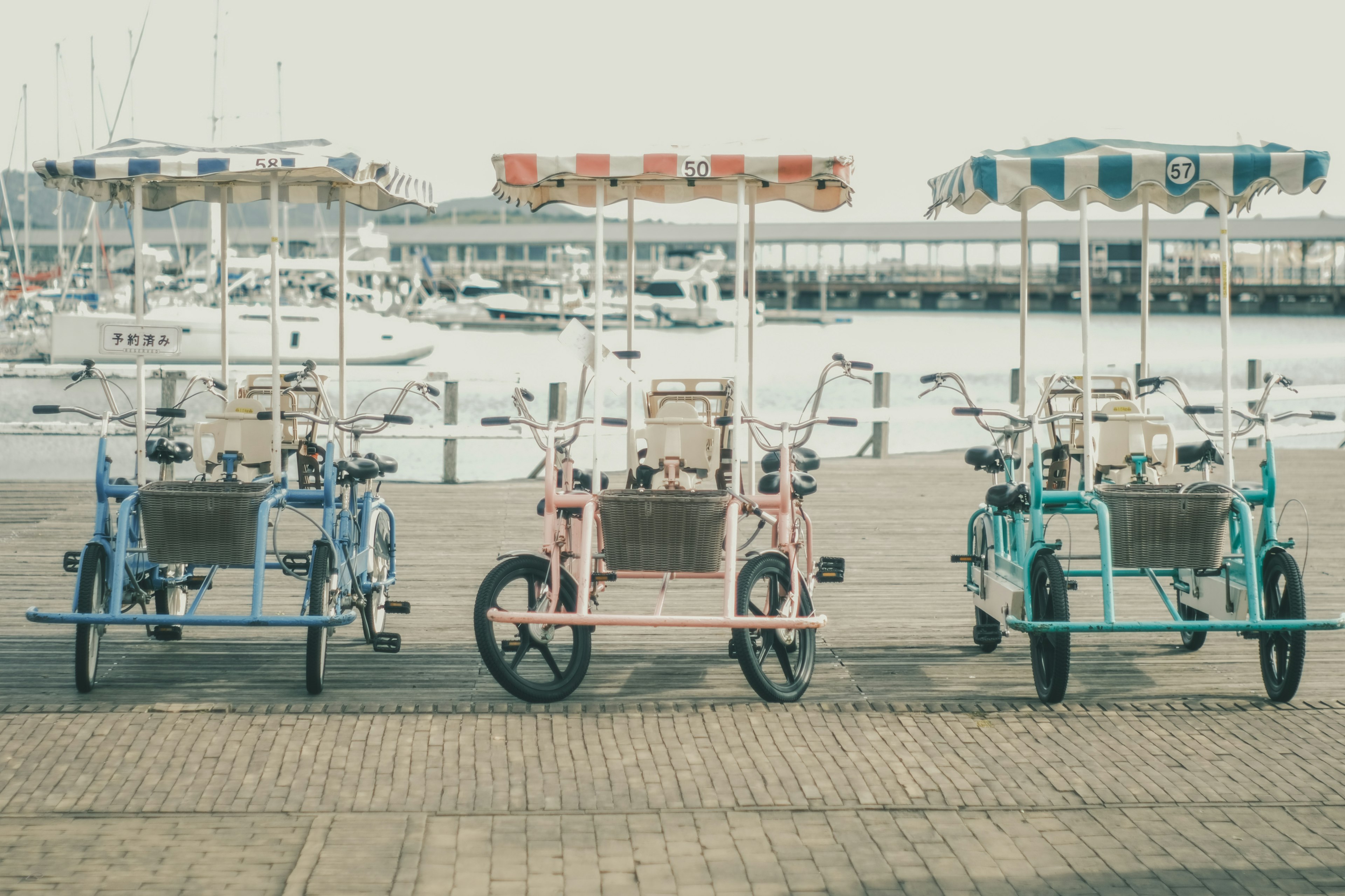 海辺に並ぶカラフルなサイクルリキシャ