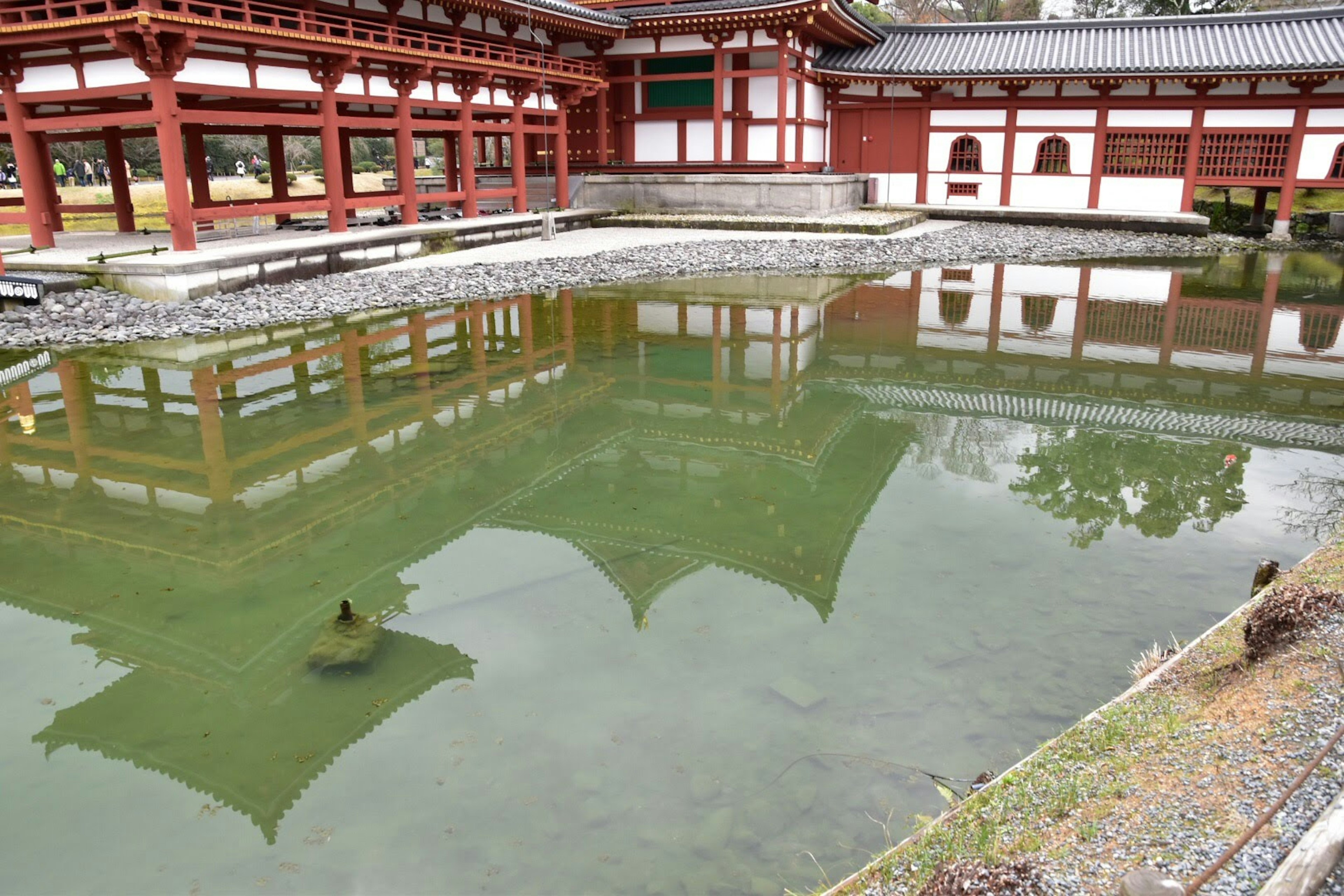 池と伝統的な建物が映る風景