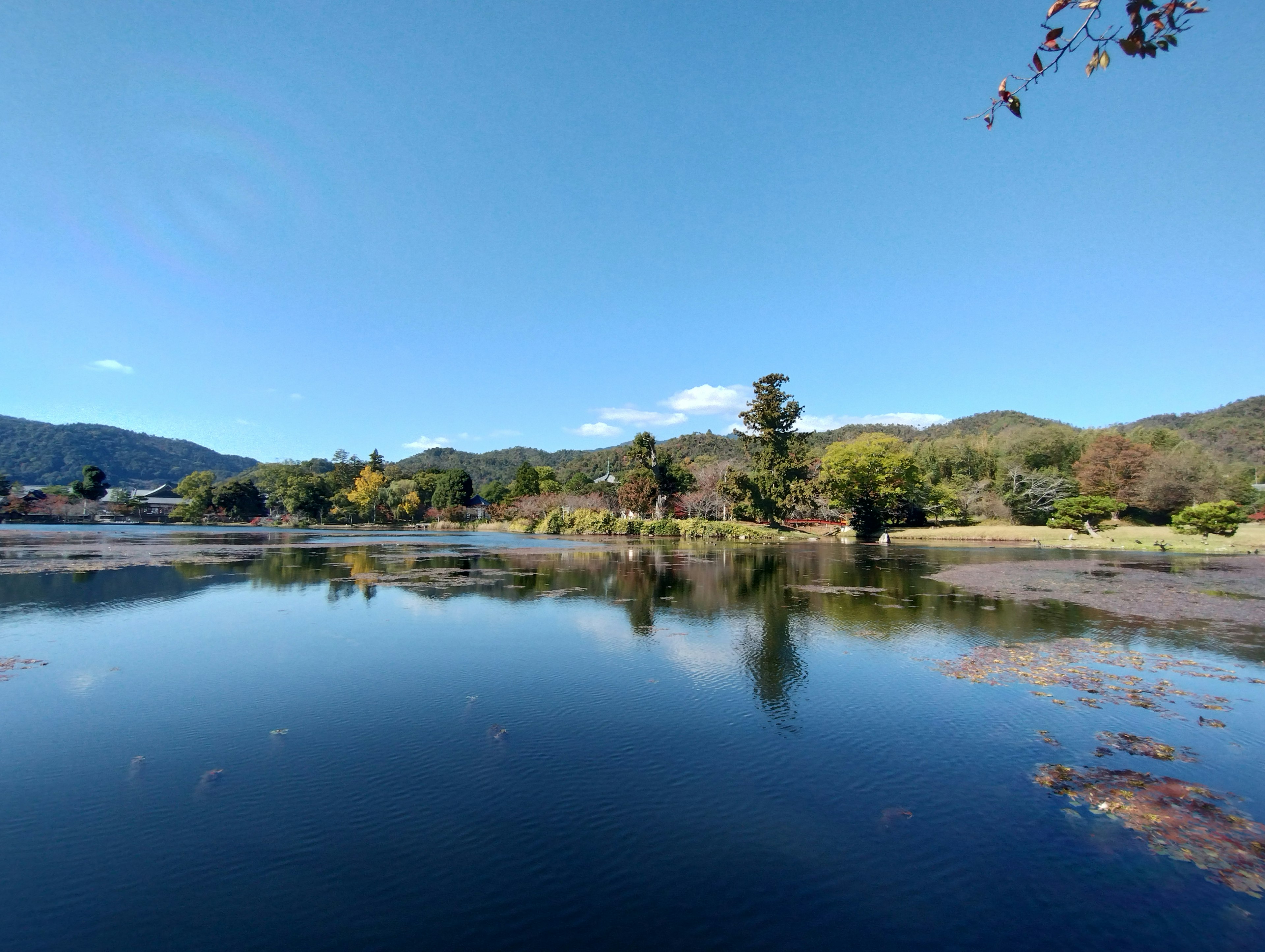 Malersicher Blick auf einen ruhigen See mit blauem Himmel und üppigen Bäumen, die sich im Wasser spiegeln