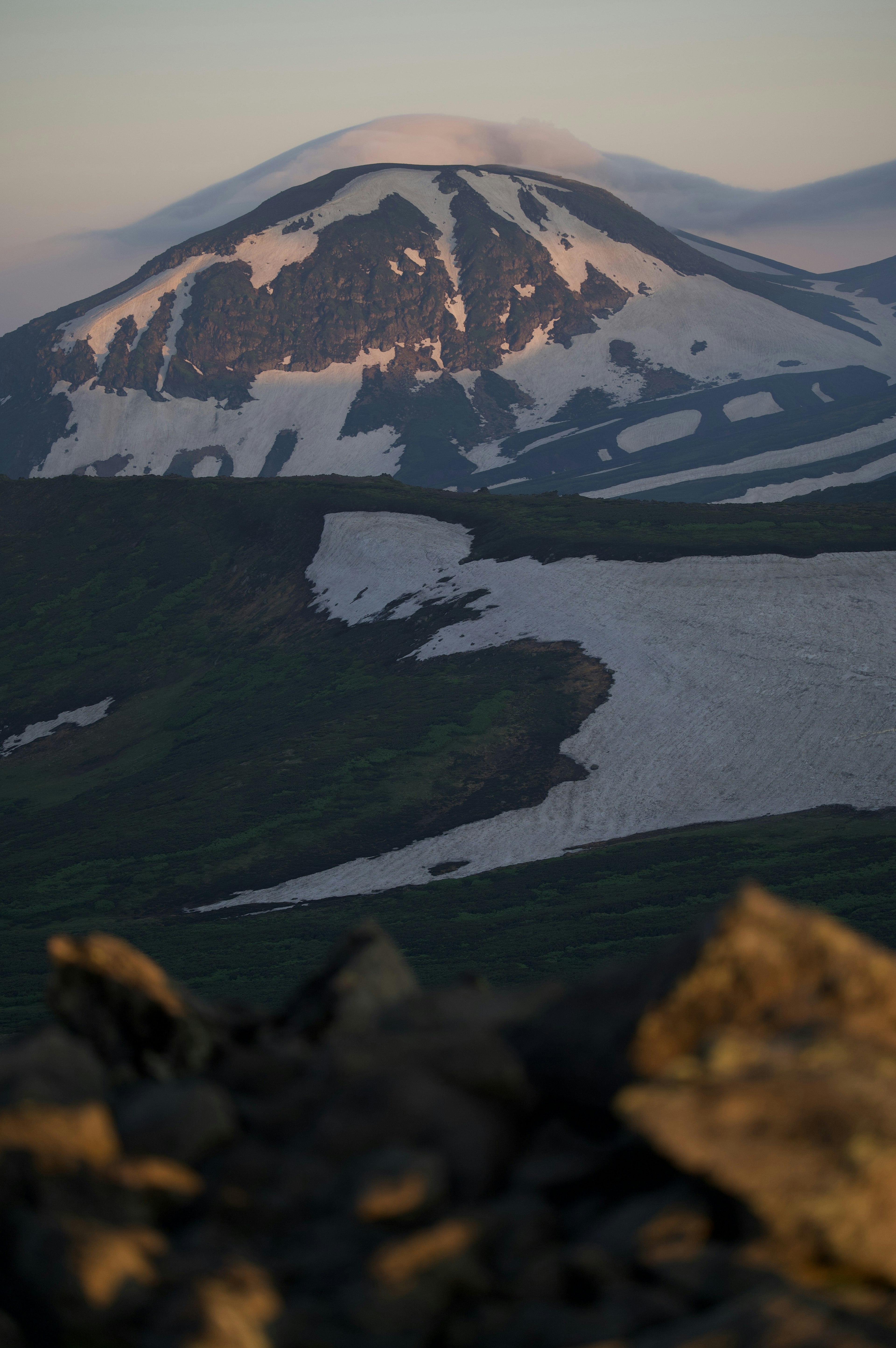 Montagne enneigée avec prairie verte et rivière glaciaire