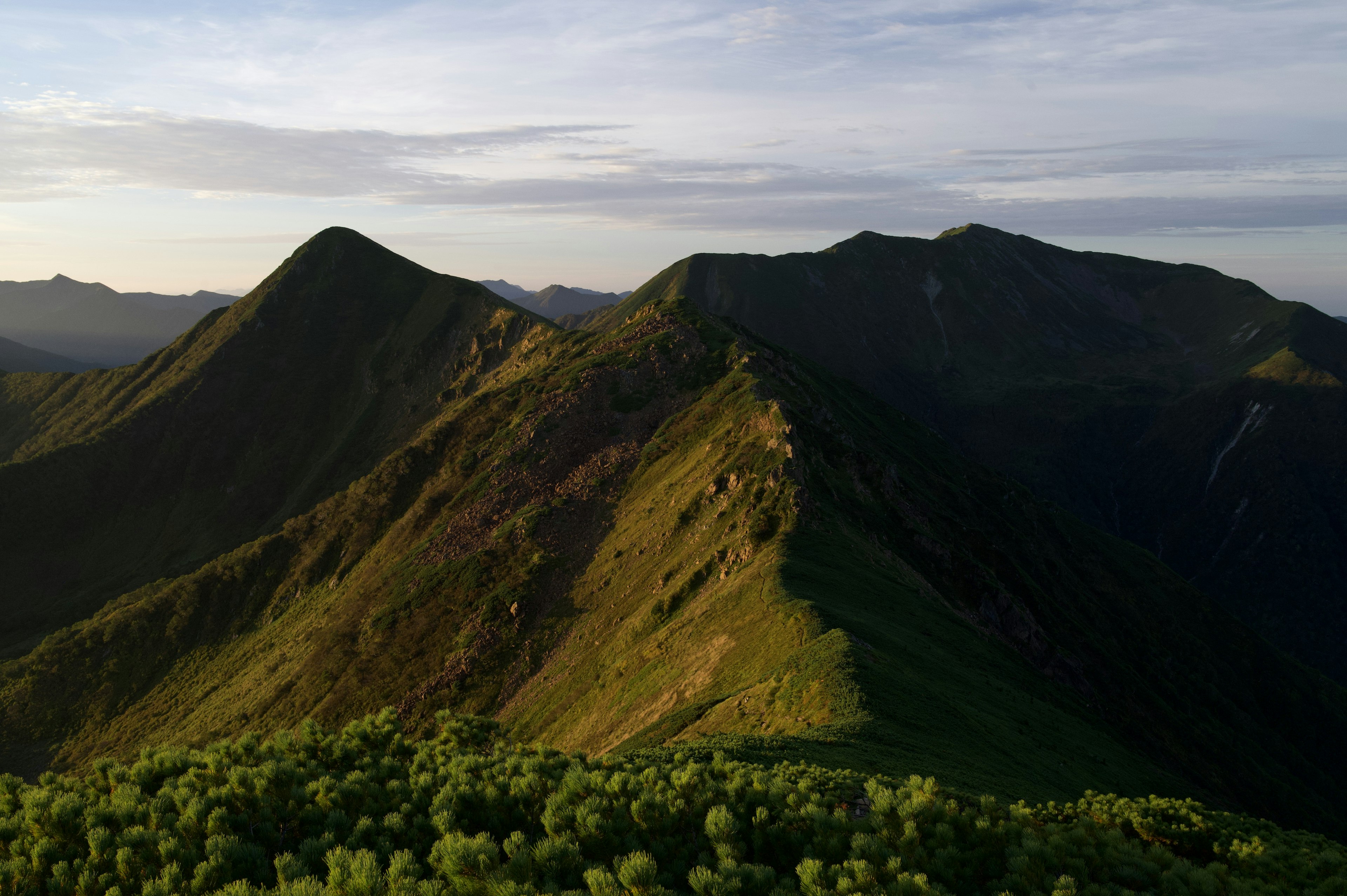 被绿色森林环绕的崎岖山脉的风景