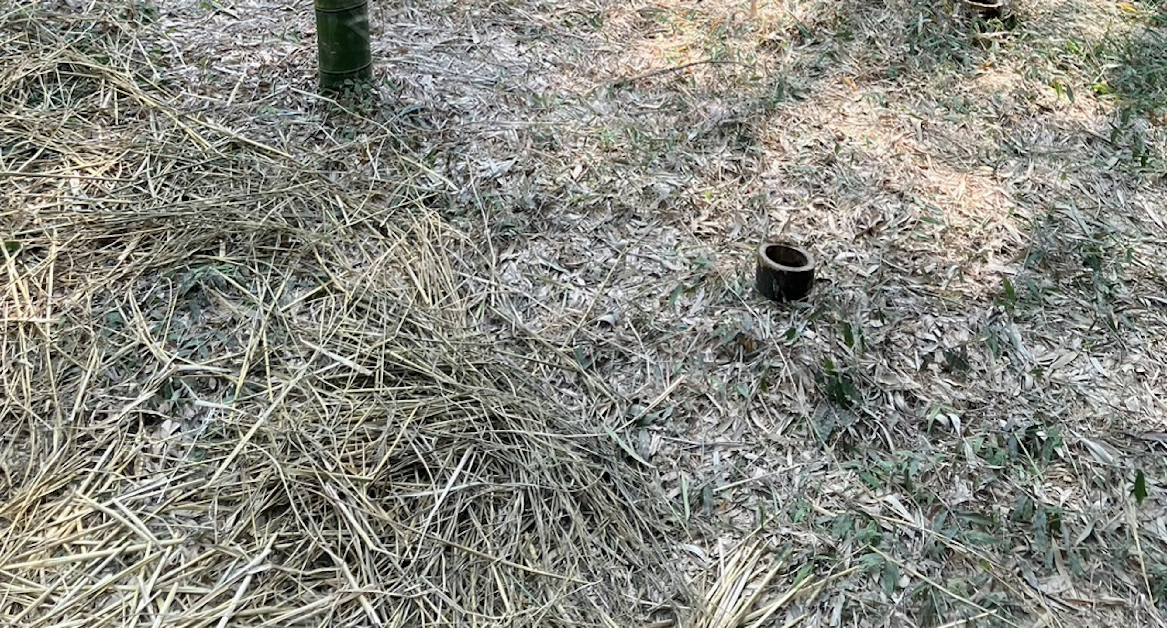 草が敷かれた地面に小さな壺が見える風景