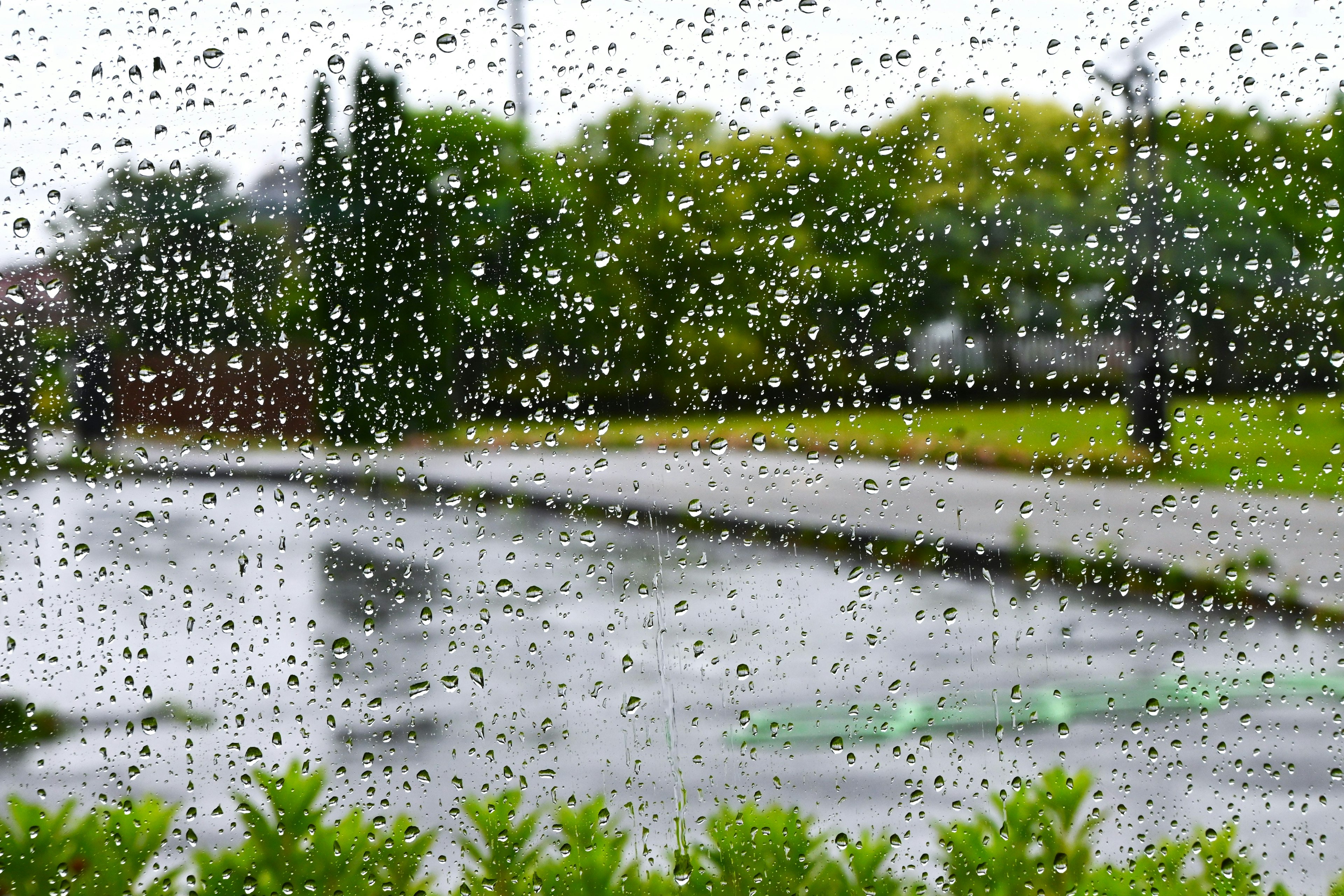 Vue d'un parc à travers une fenêtre couverte de gouttes de pluie avec des arbres verts et un sol mouillé