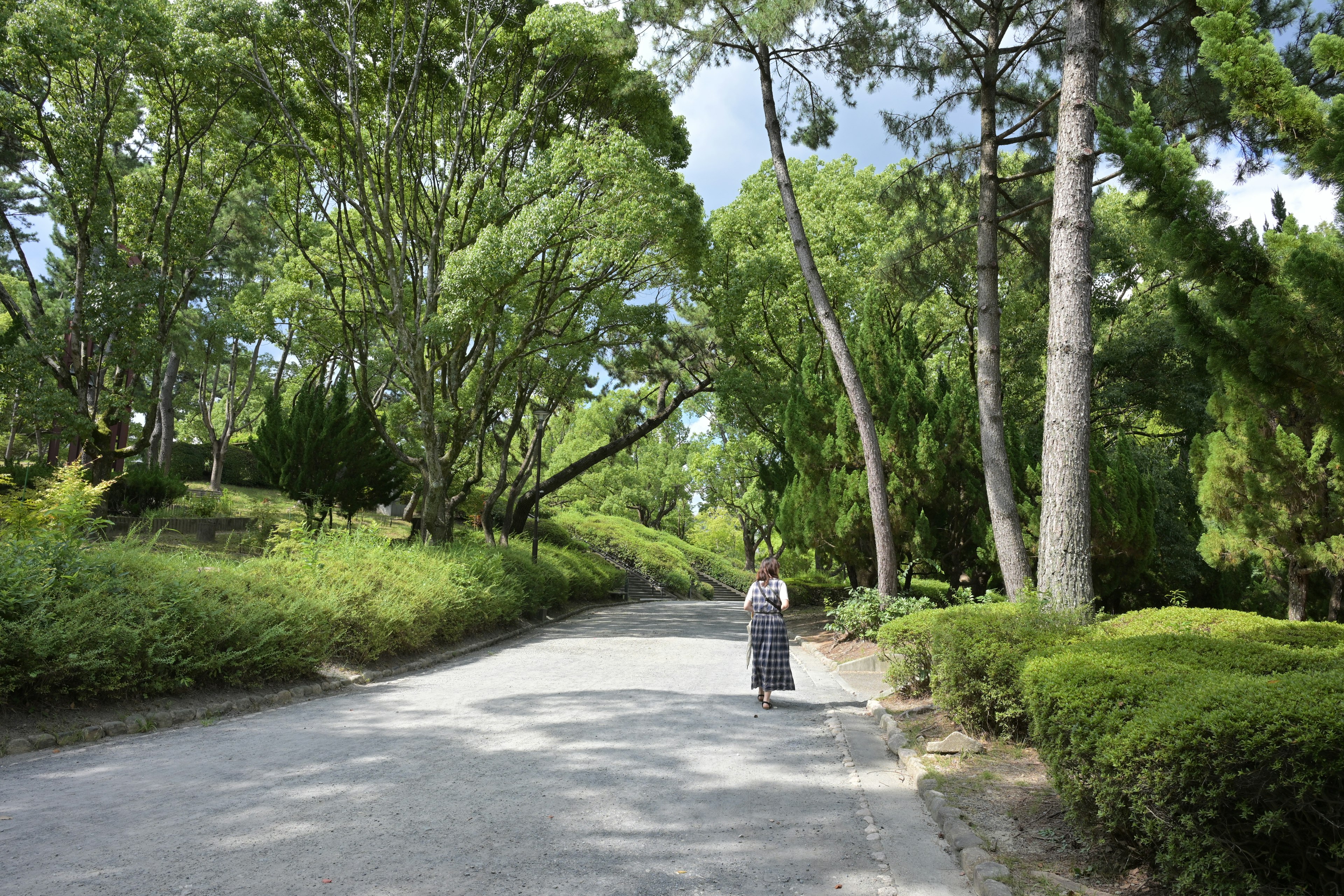 穿著和服的女性走在郁郁蔥蔥的公園裡